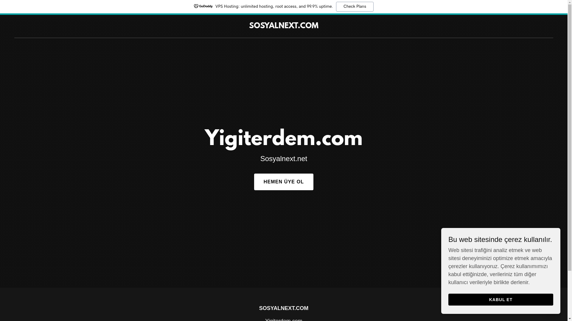 website screenshot of https://sosyalnext.com/