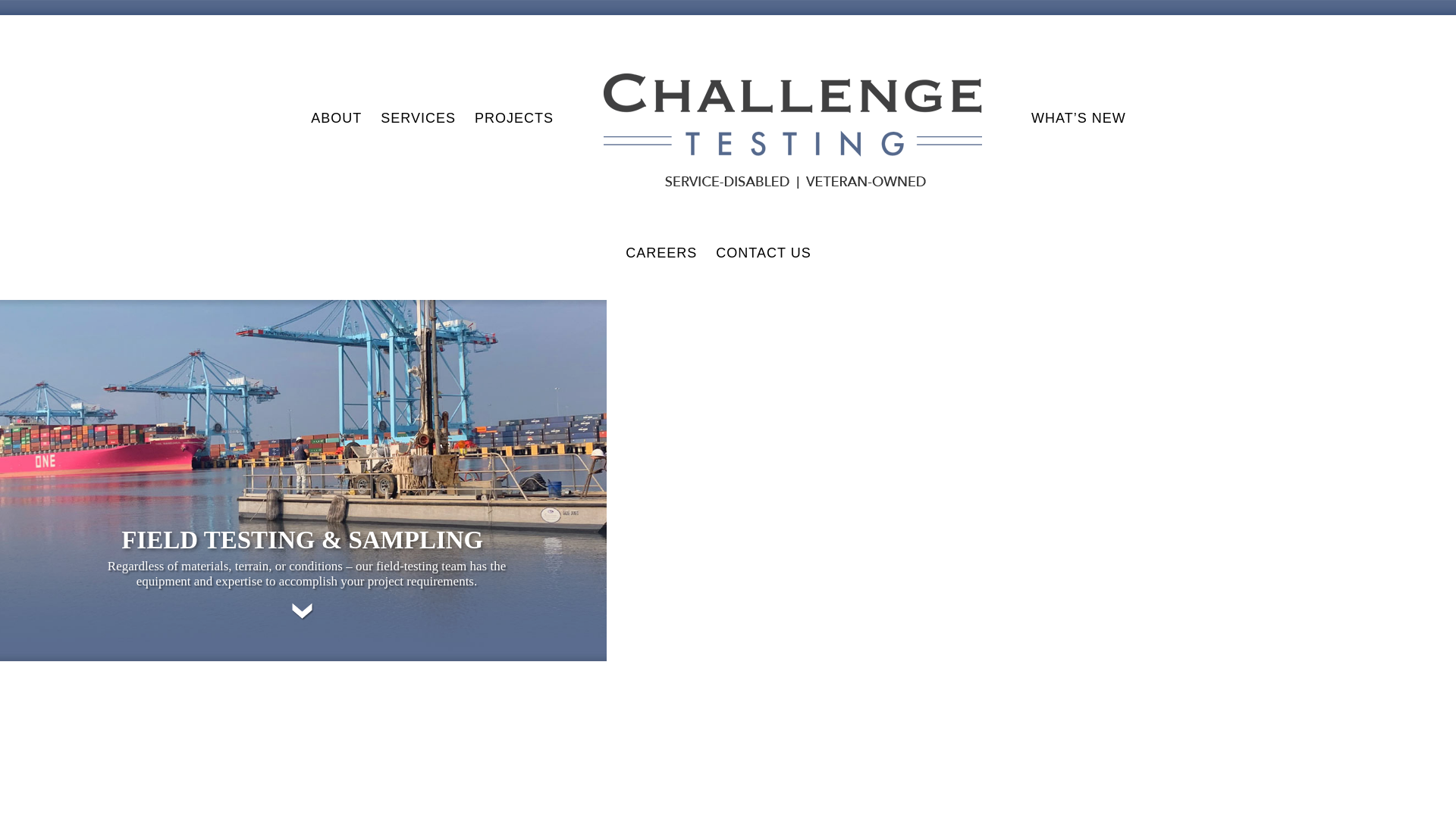 website screenshot of https://challengetestingfast.com/