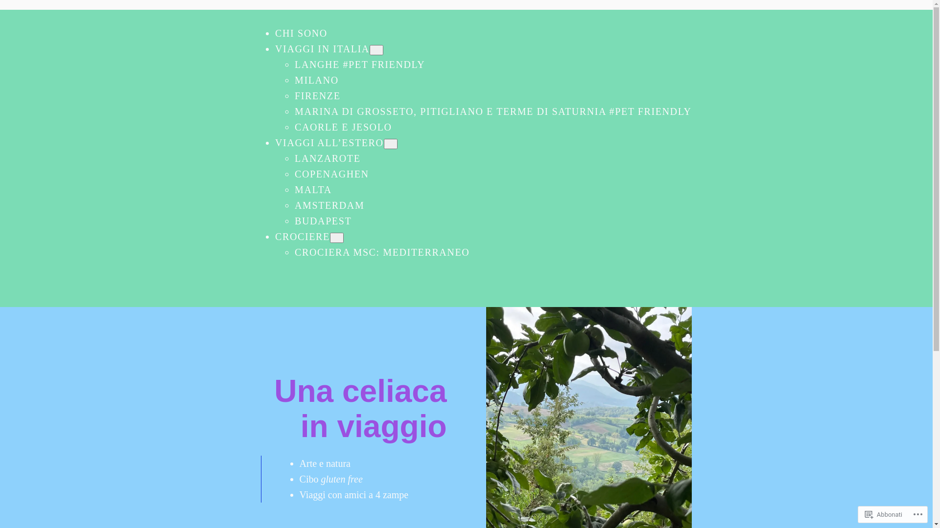 website screenshot of https://burntcinnamonviaggi.com/