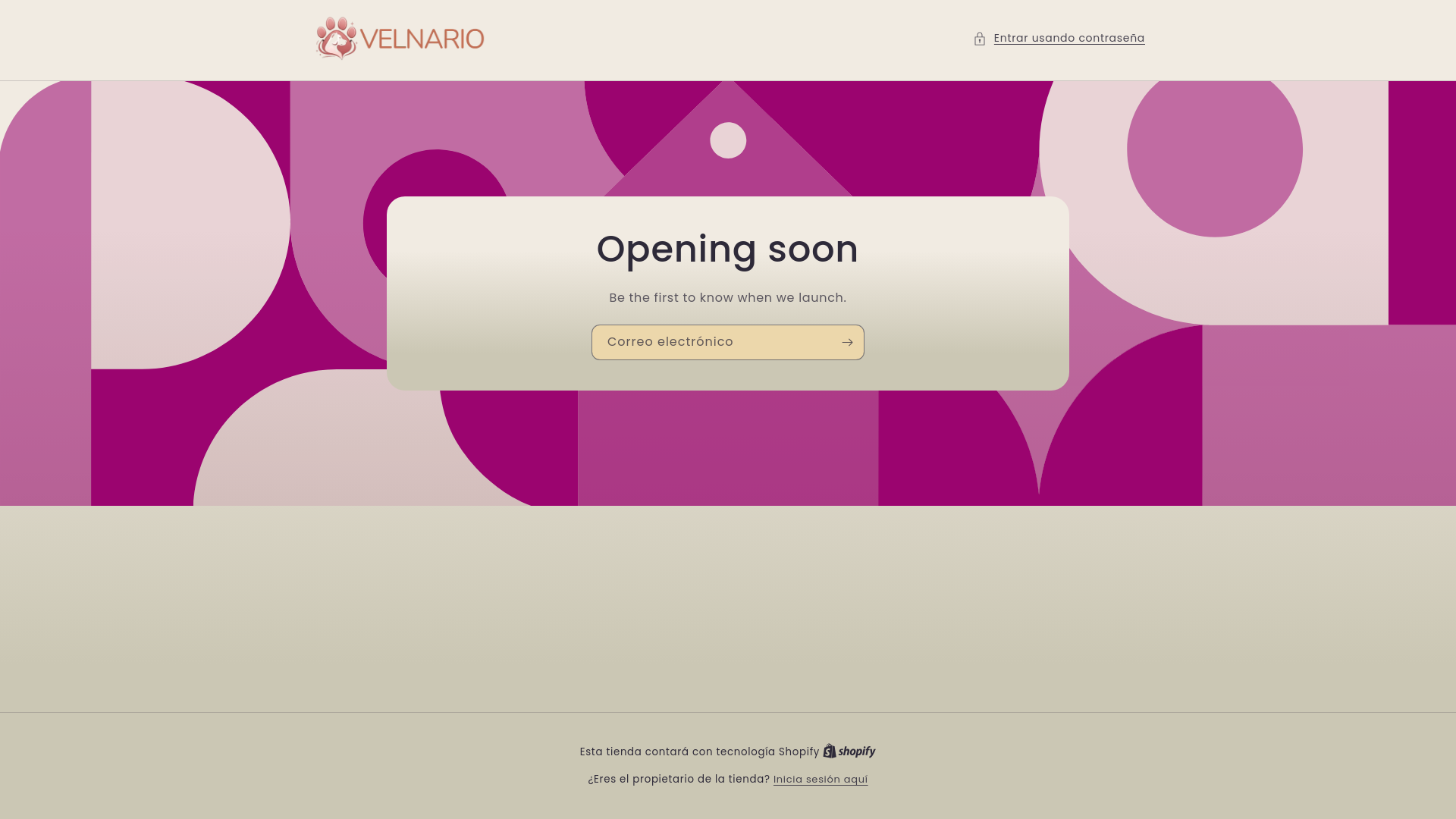 website screenshot of https://velnary.com/