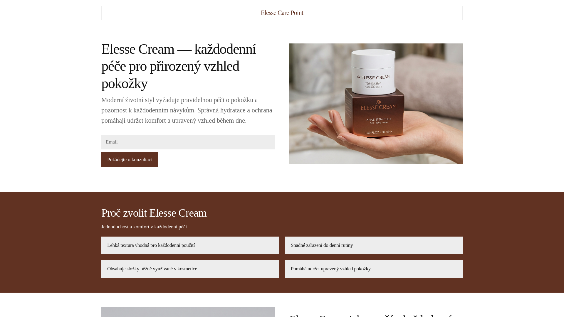 website screenshot of https://elessecarepointsx.info
