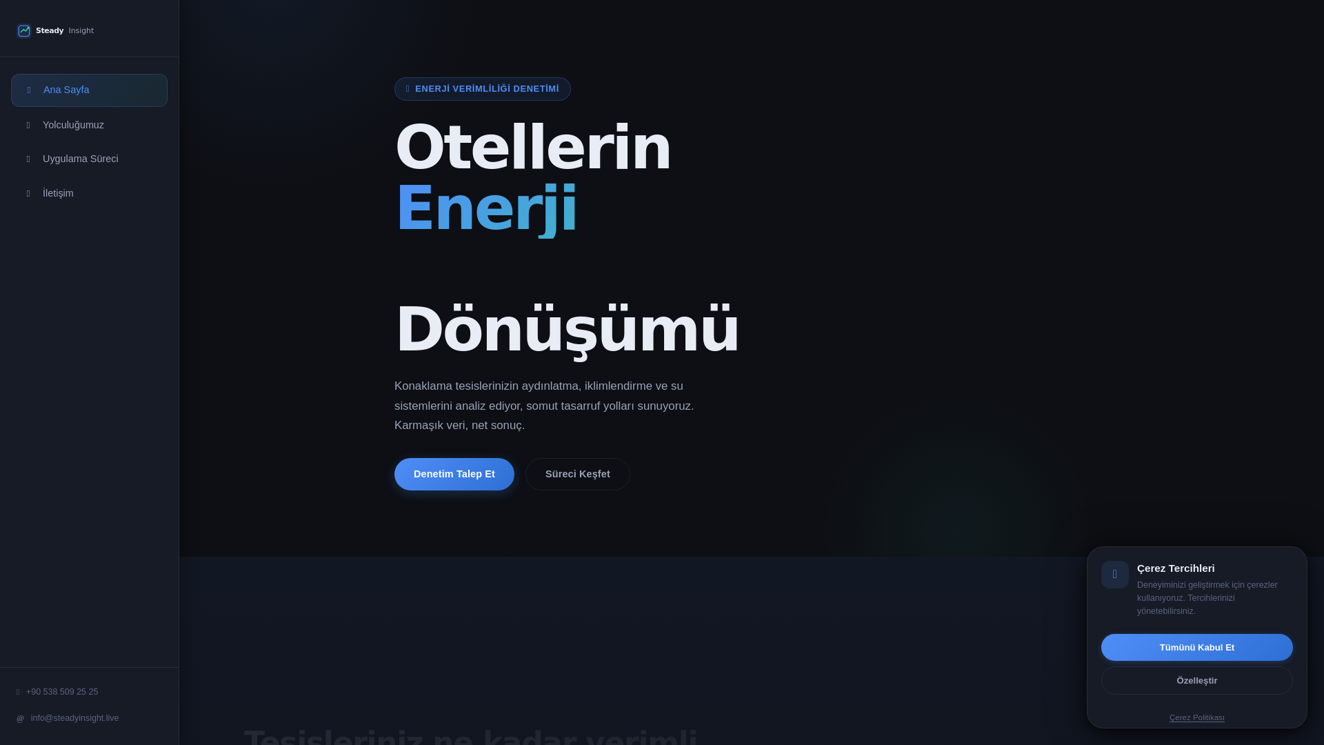 website screenshot of https://steadyinsight.live
