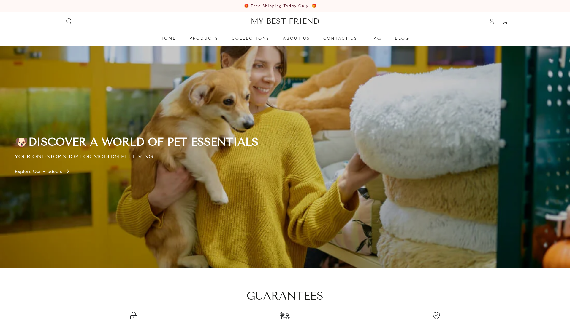 website screenshot of https://bestfriendhub.com