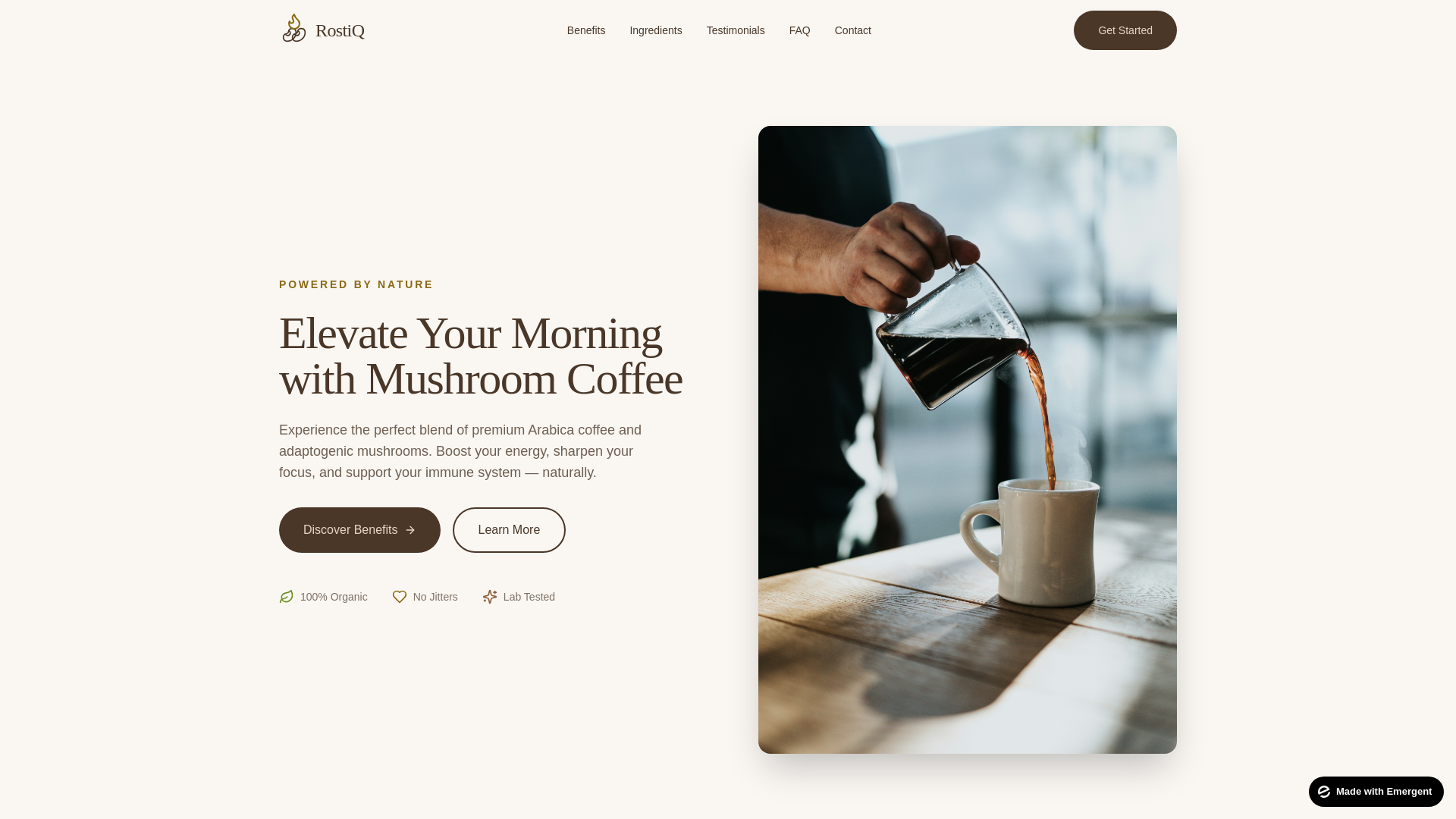 website screenshot of https://roastiq.us/