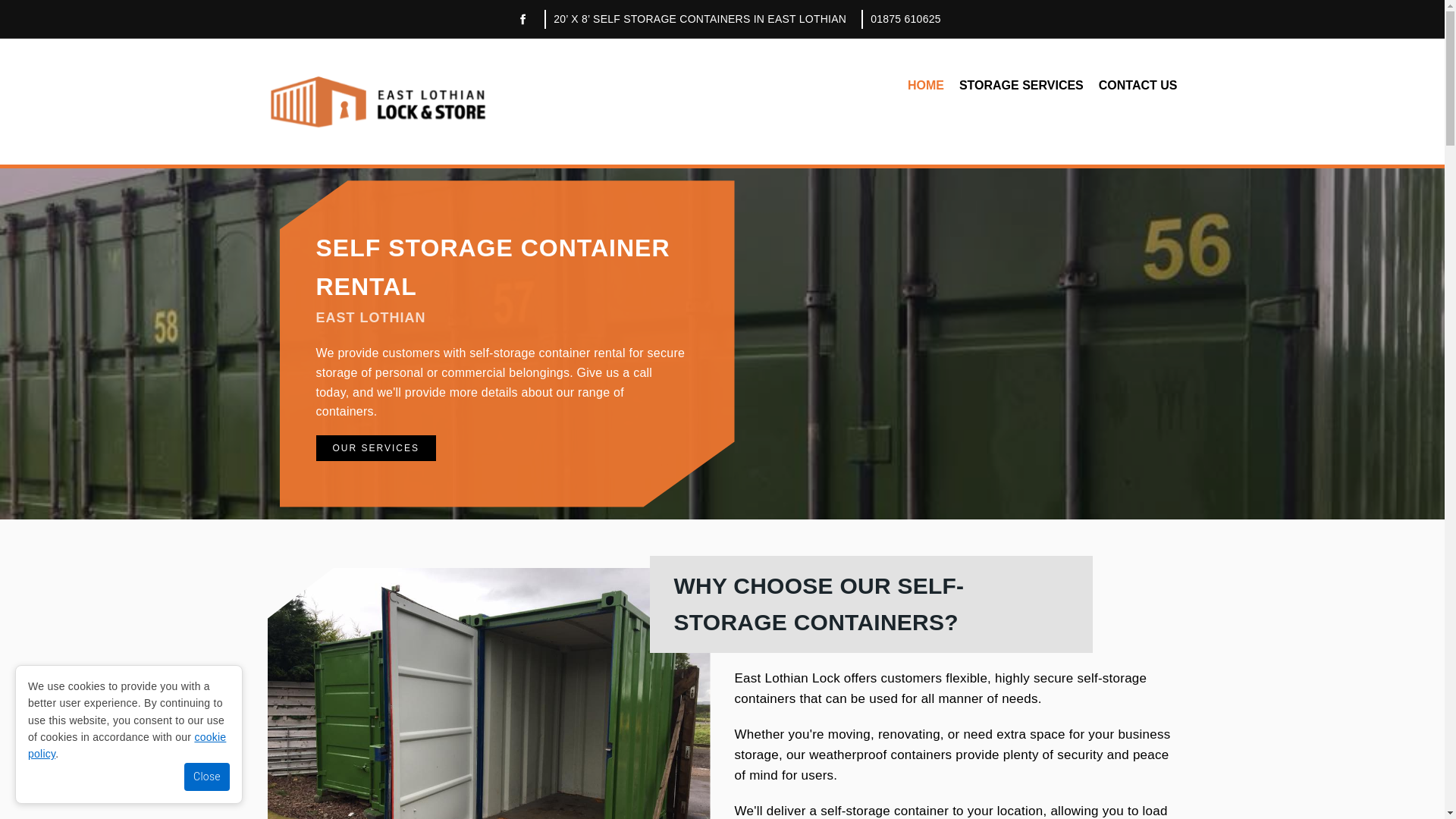website screenshot of https://longtermstorage.uk/