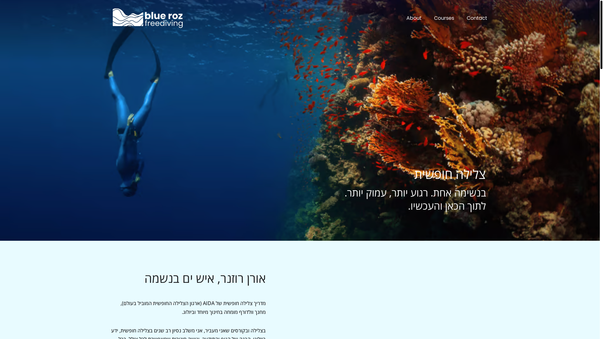 website screenshot of https://bluerozfreediving.com/