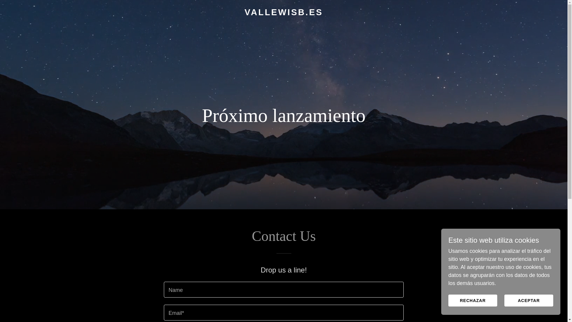website screenshot of https://vallewisb.es/
