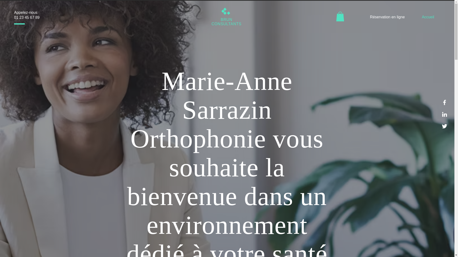 website screenshot of https://marieannesarrazin.ca/