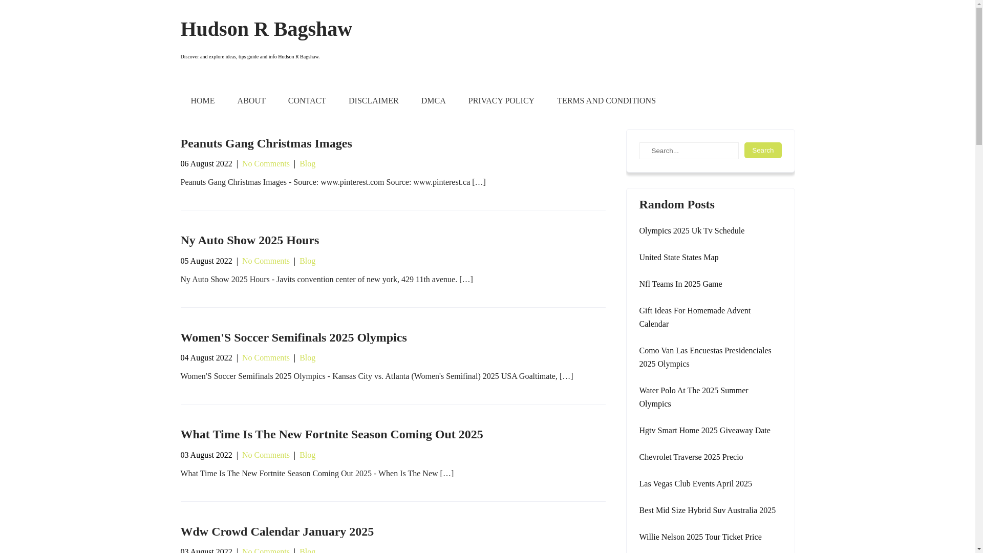 website screenshot of https://hudsonrbagshaw.pages.dev/