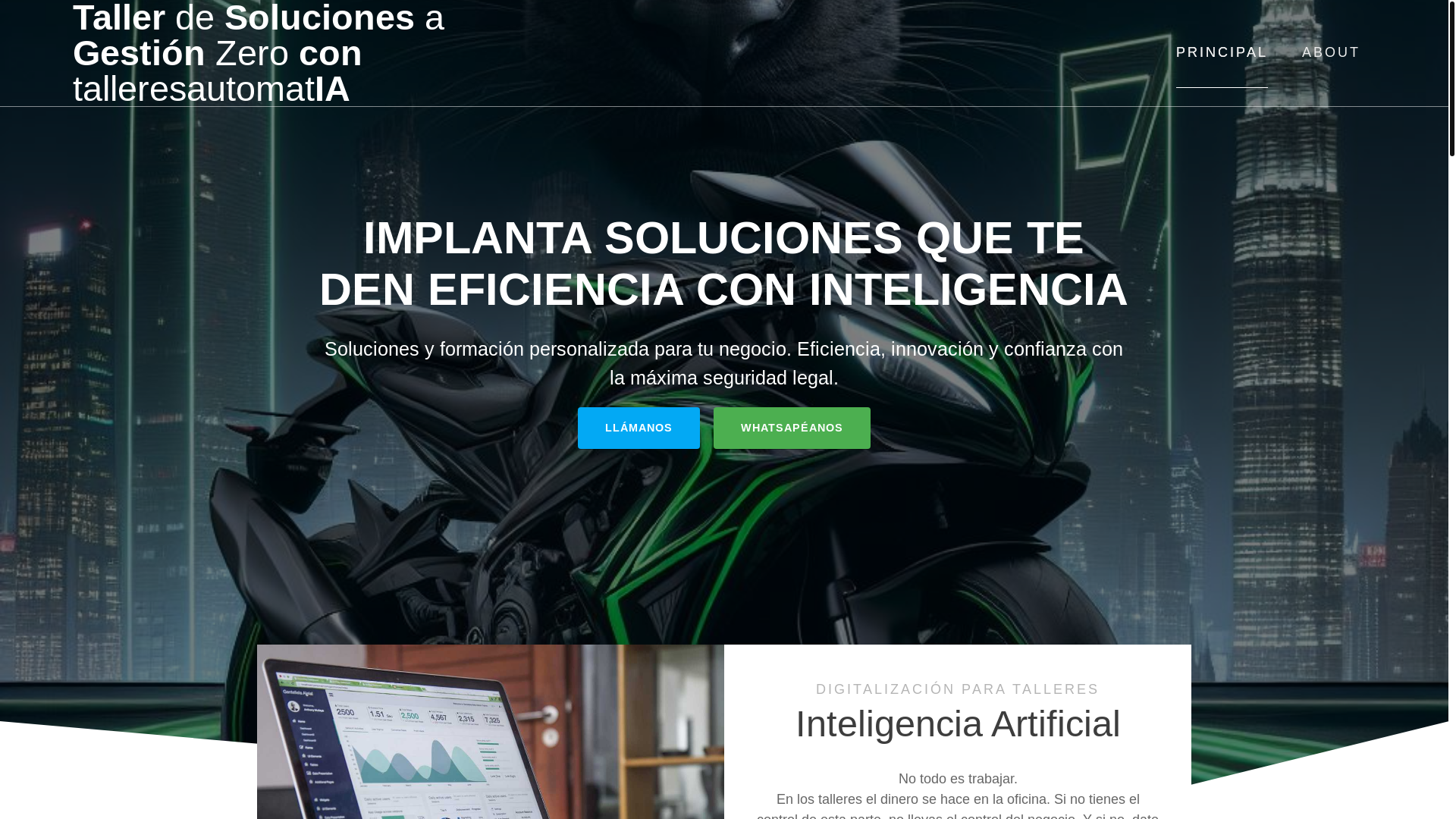 website screenshot of https://tallersgz.com/