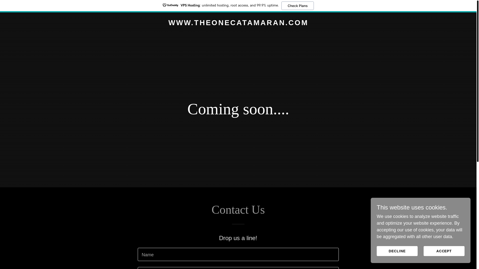 website screenshot of https://theonecatamaran.com/