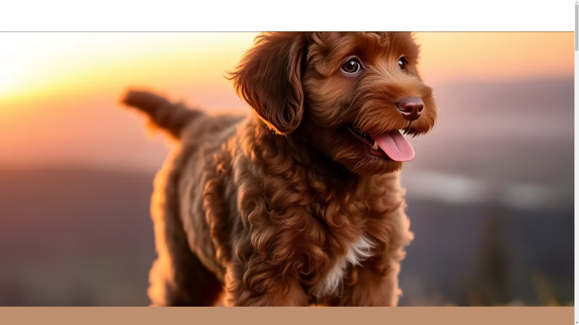 website screenshot of https://mydoodlelove.net/