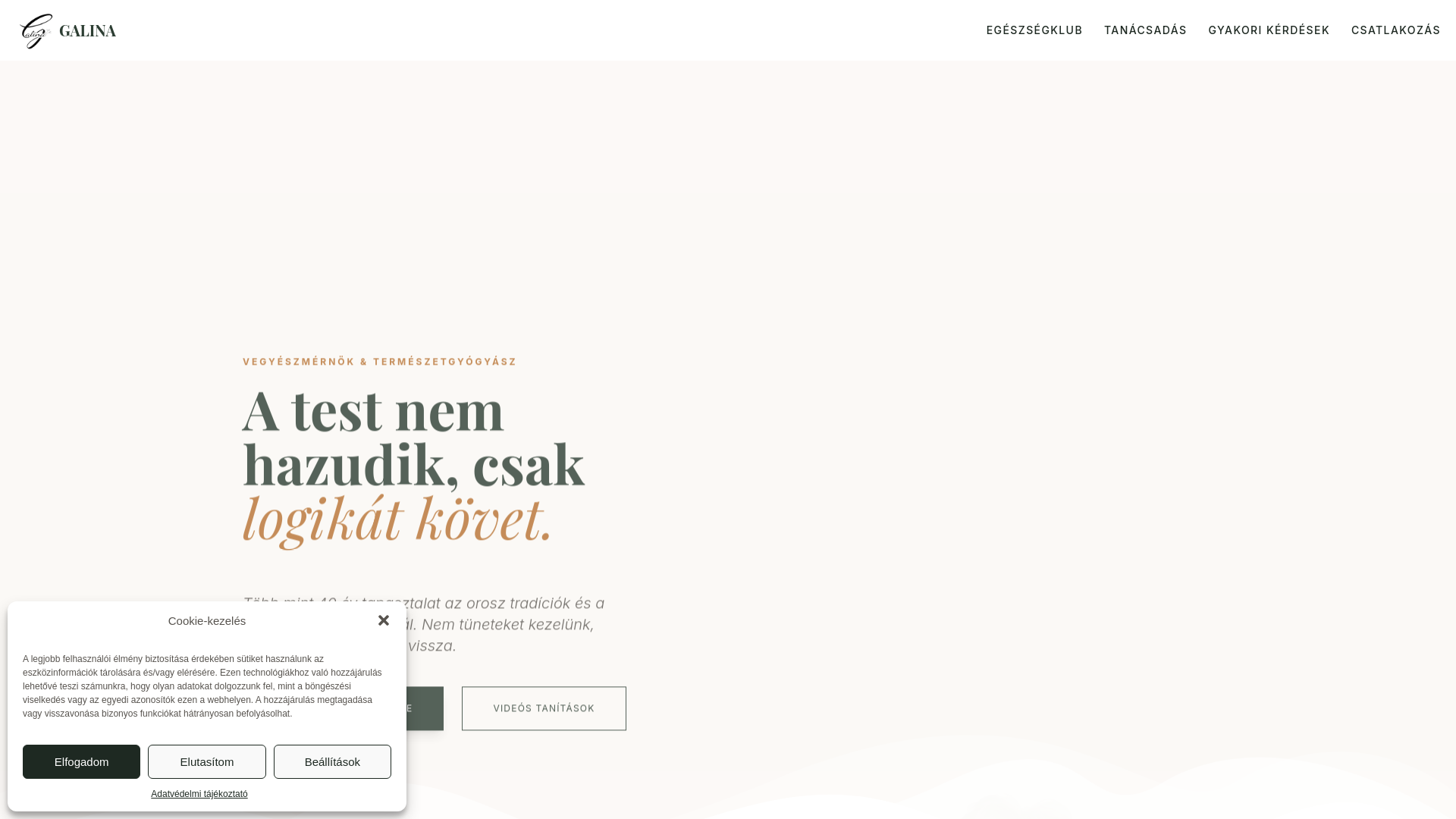 website screenshot of https://galinaprojekt.hu/
