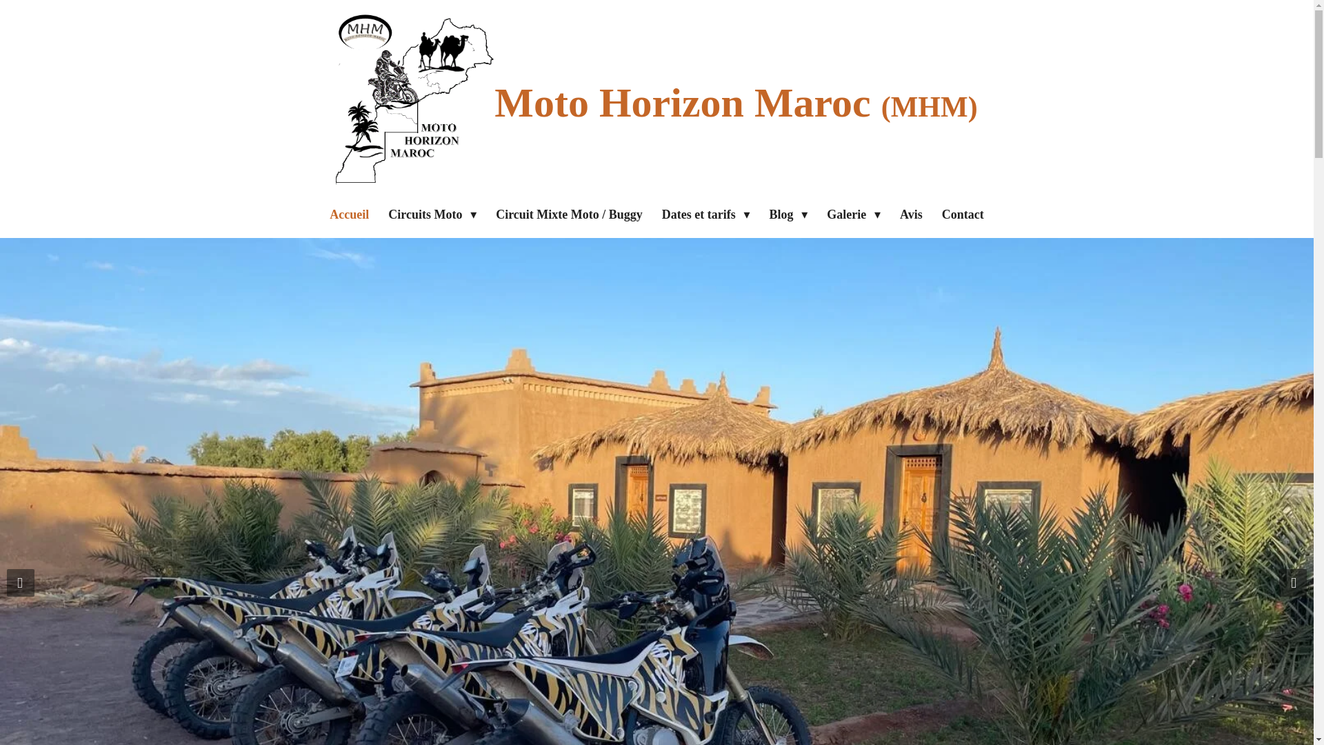 website screenshot of https://team-mhm.com/