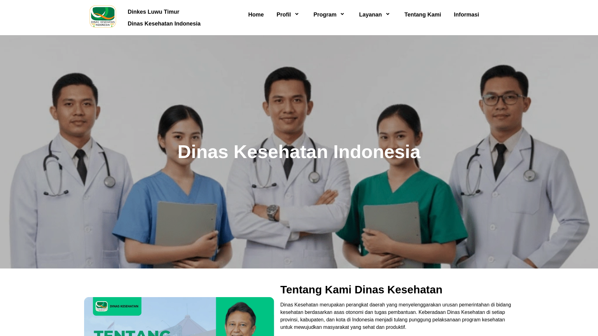 website screenshot of https://dinkesluwutimur.org/