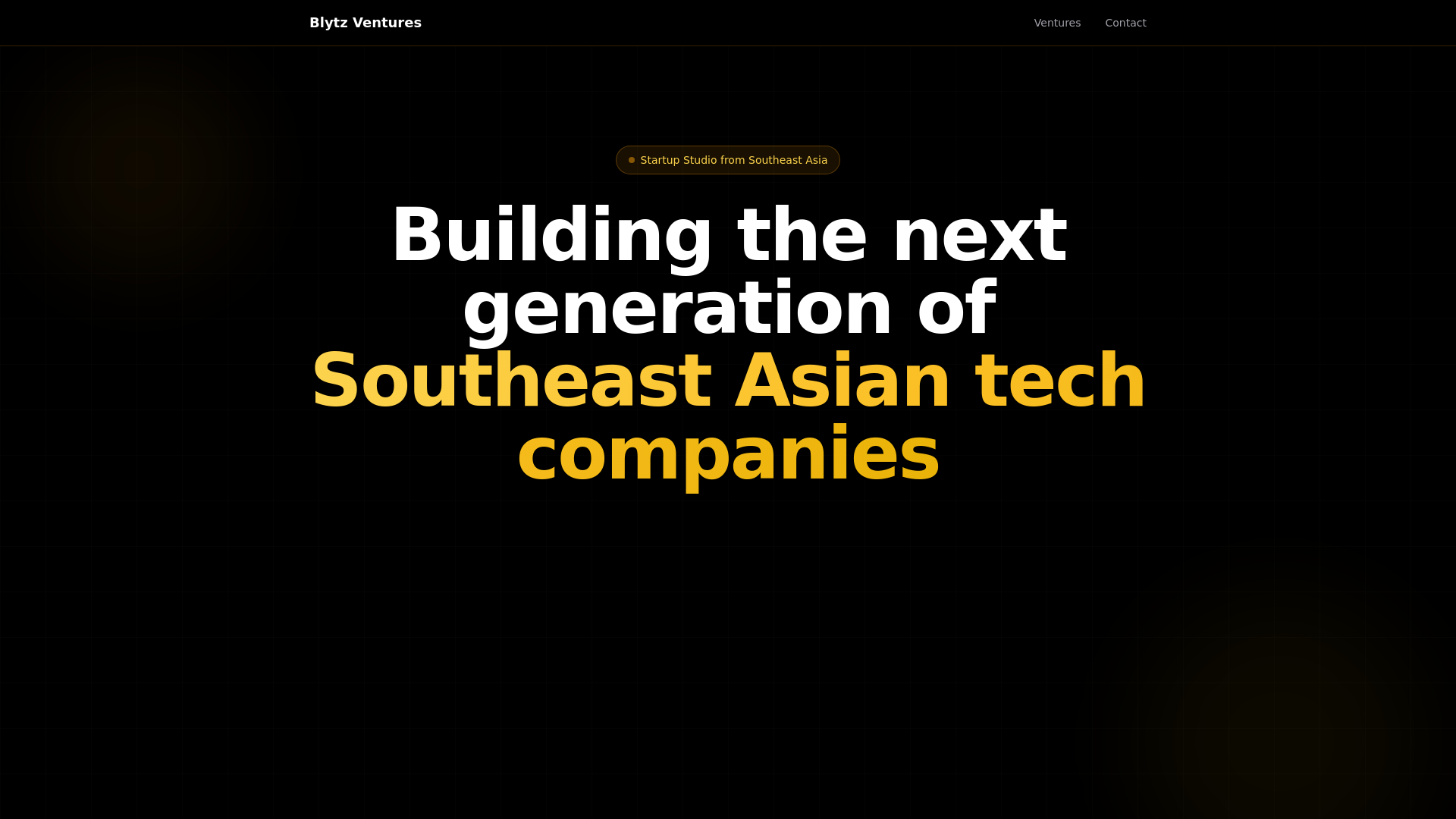 website screenshot of https://blytzventures.com/