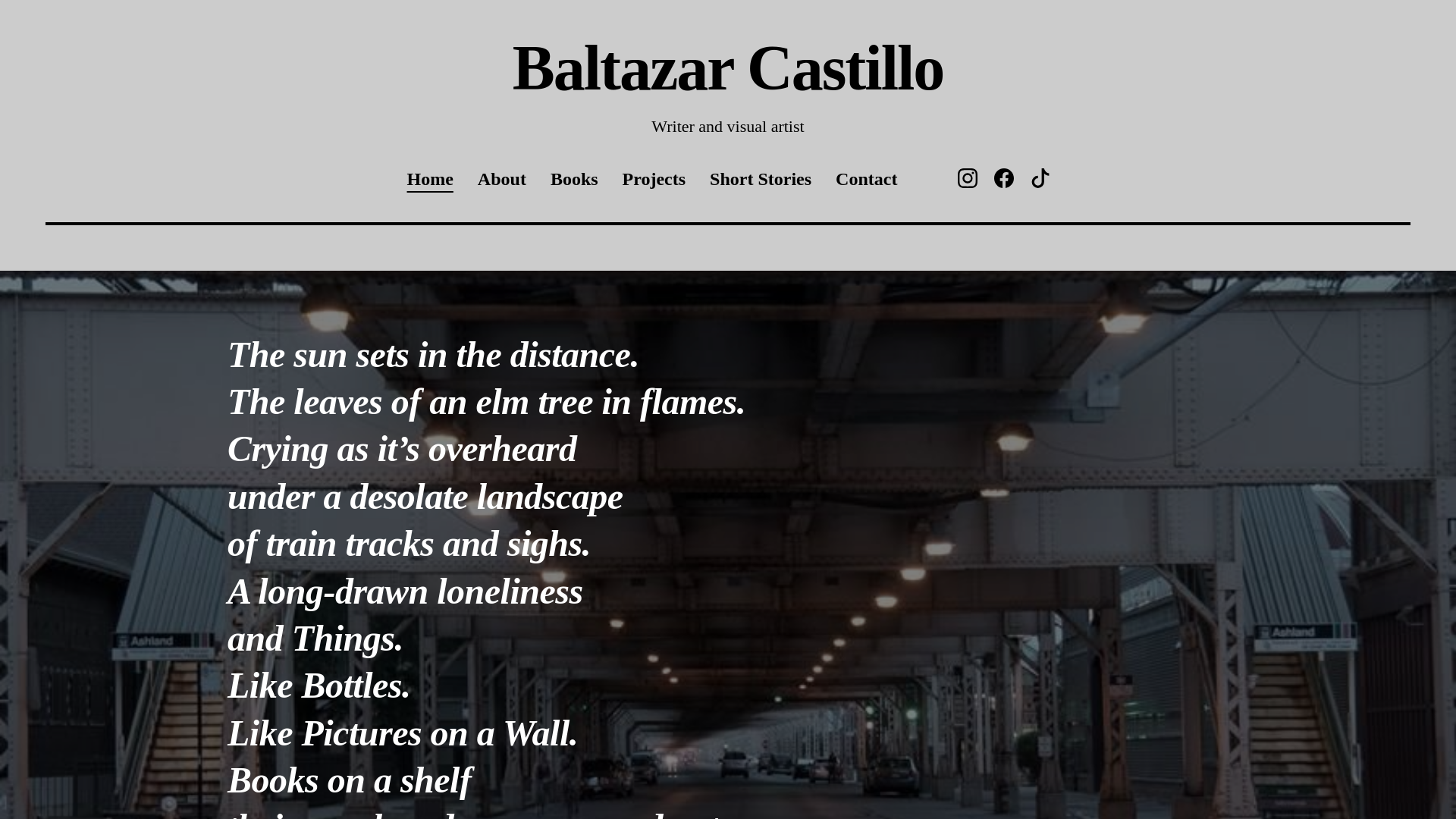 website screenshot of https://baltazar-castillo.com