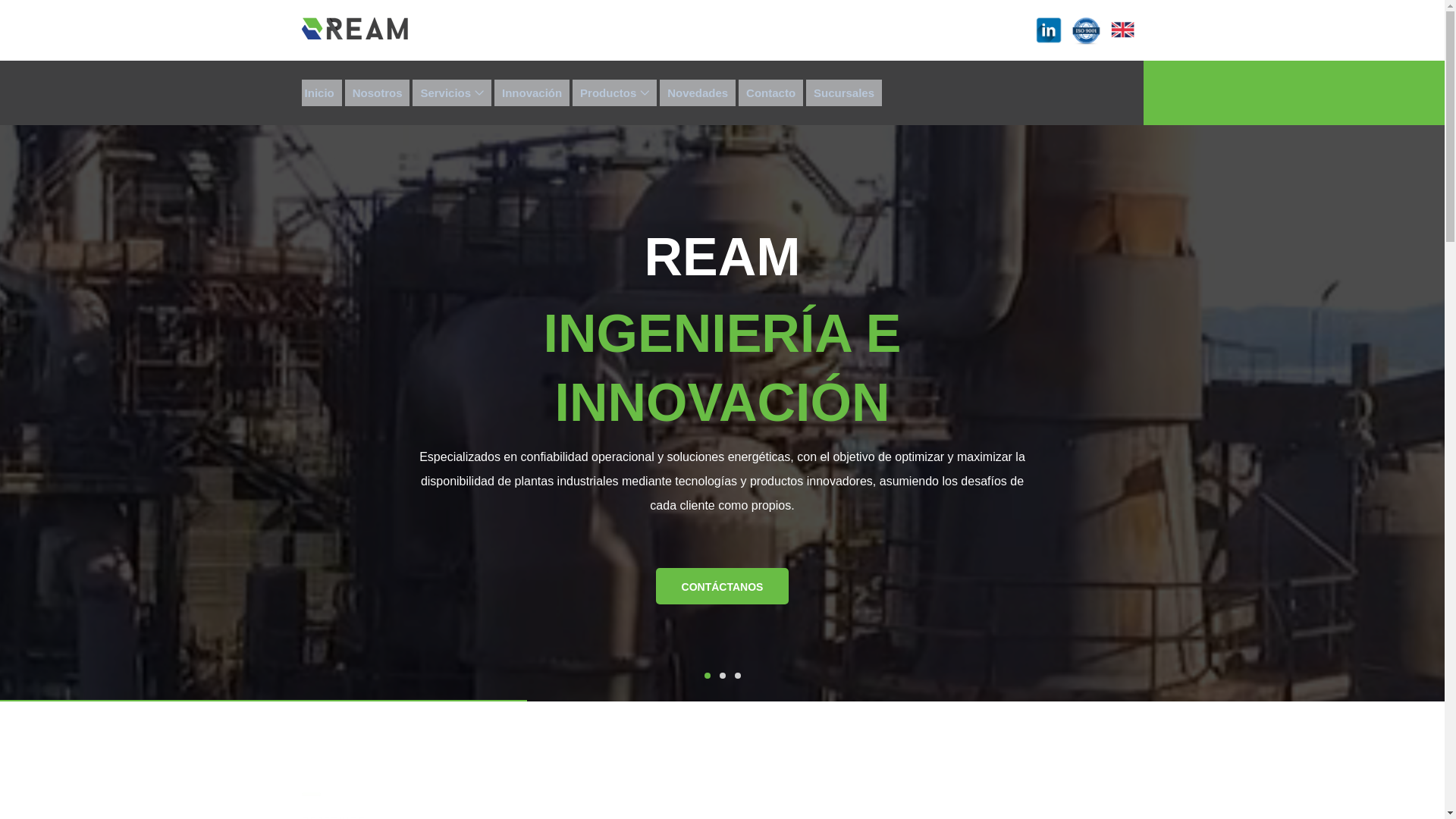 website screenshot of https://reaminn.cl/
