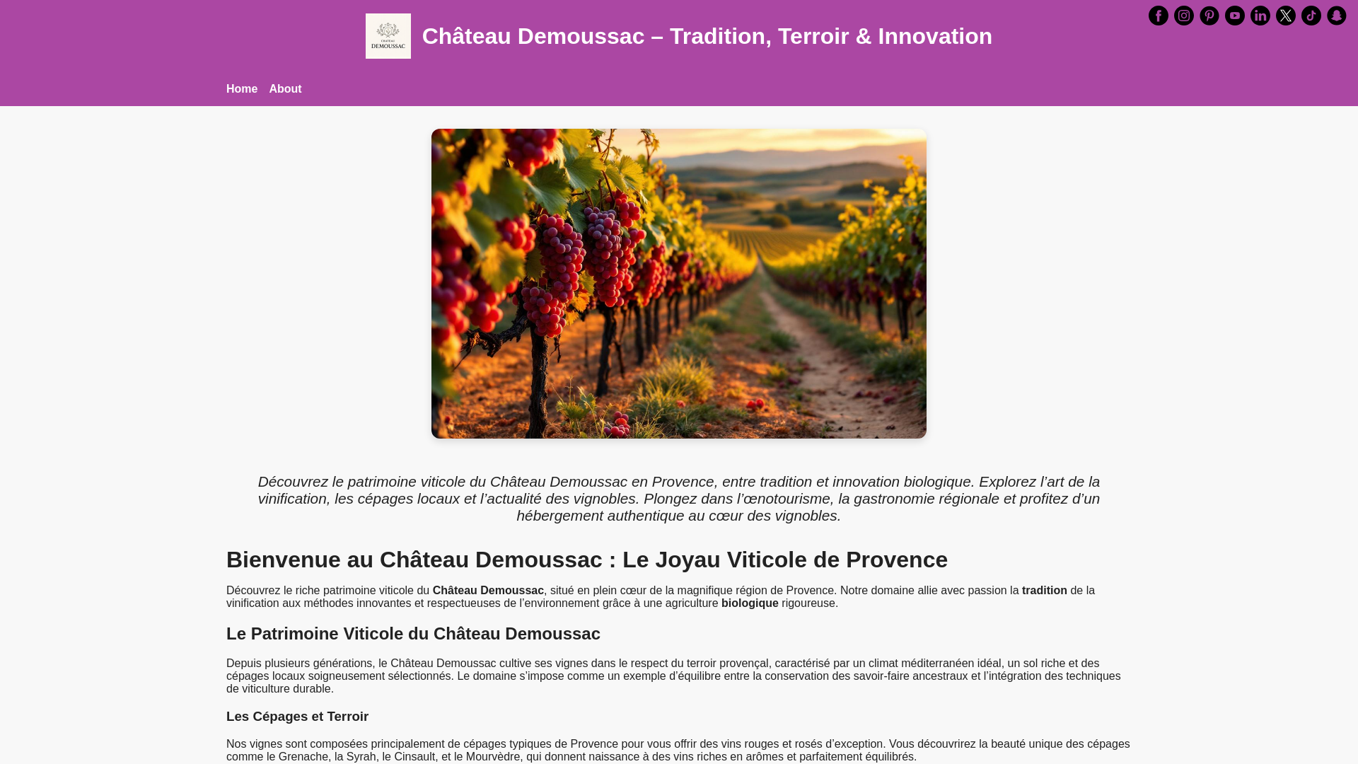 website screenshot of https://chateaudemoussac-fr.pages.dev/