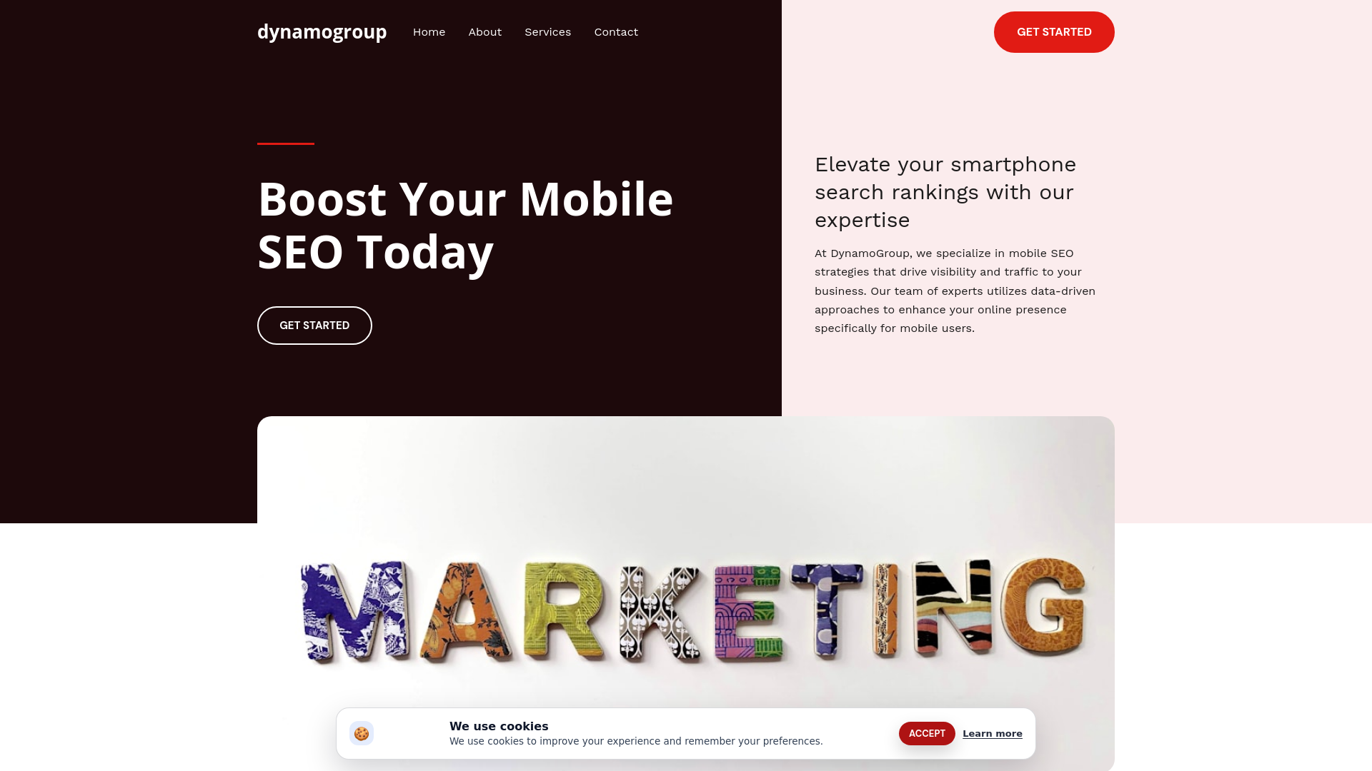 website screenshot of https://dynamogroup.life/