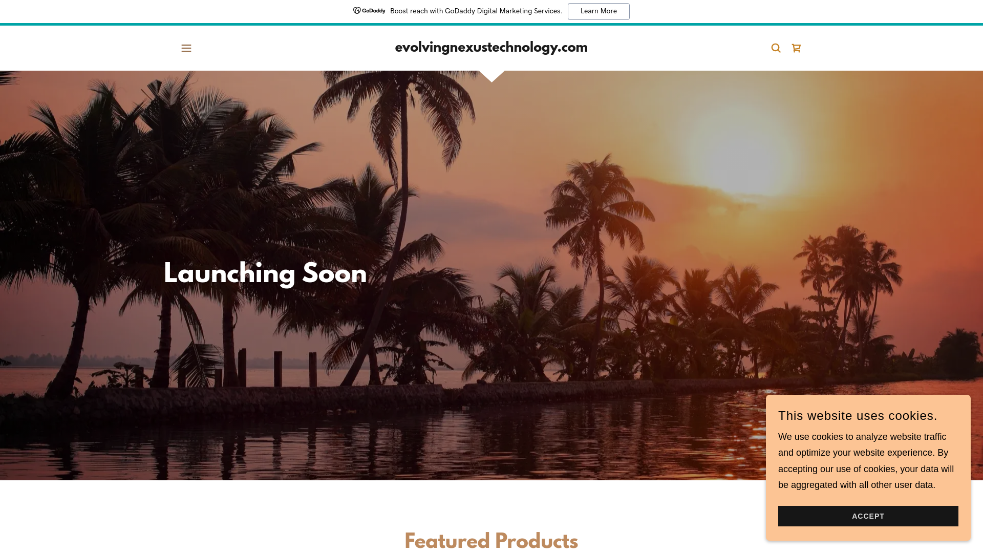 website screenshot of https://evolvingnexustechnology.com/