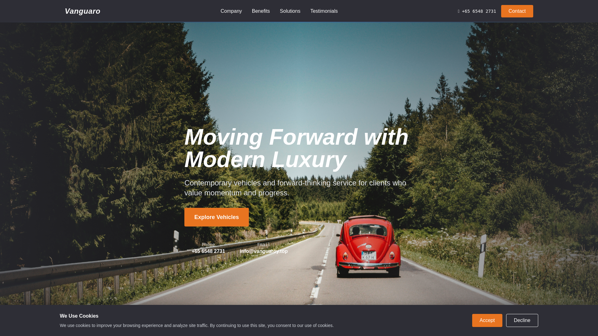 website screenshot of https://vanguaroy.top/