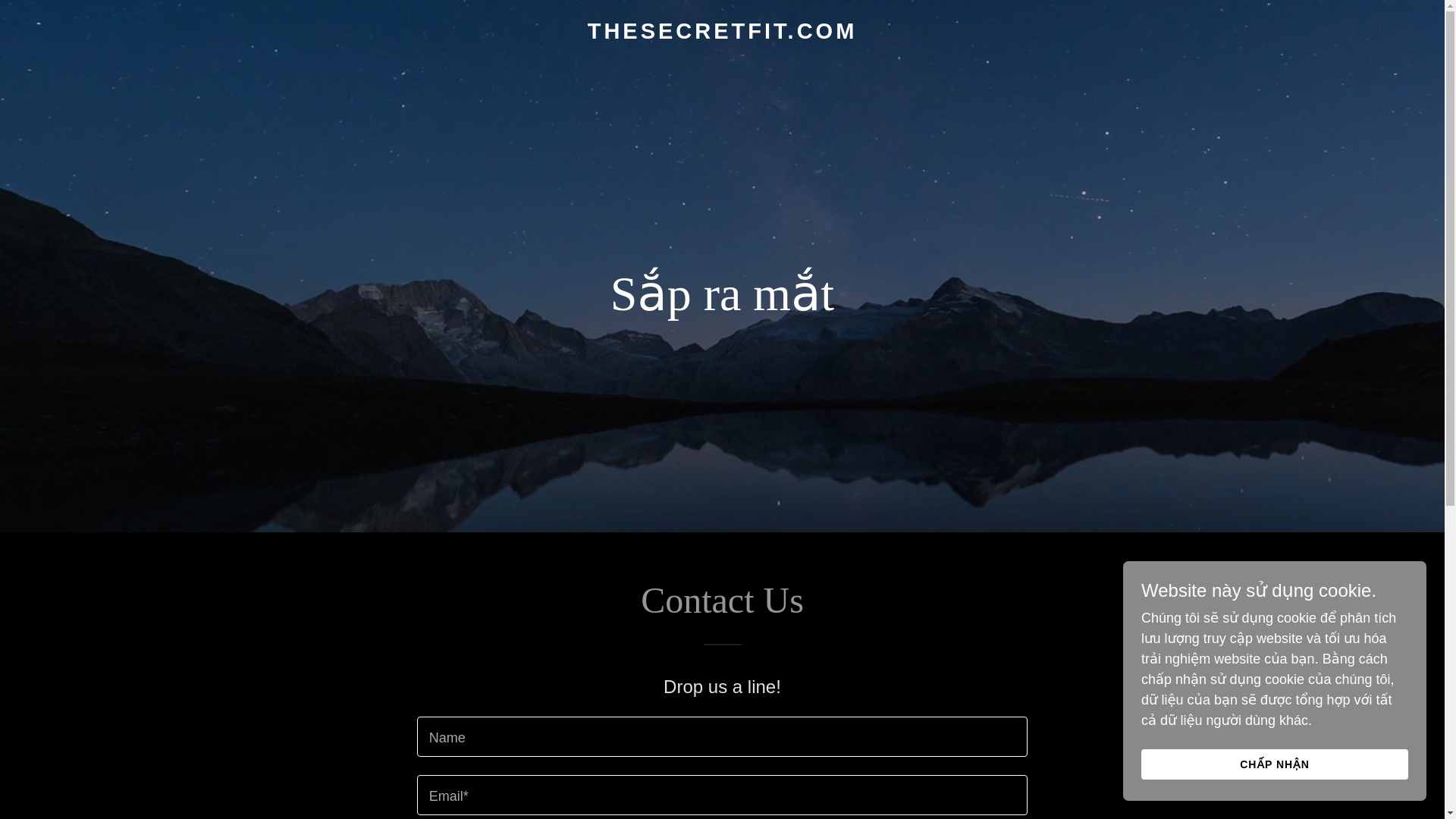 website screenshot of https://thesecretfit.com/