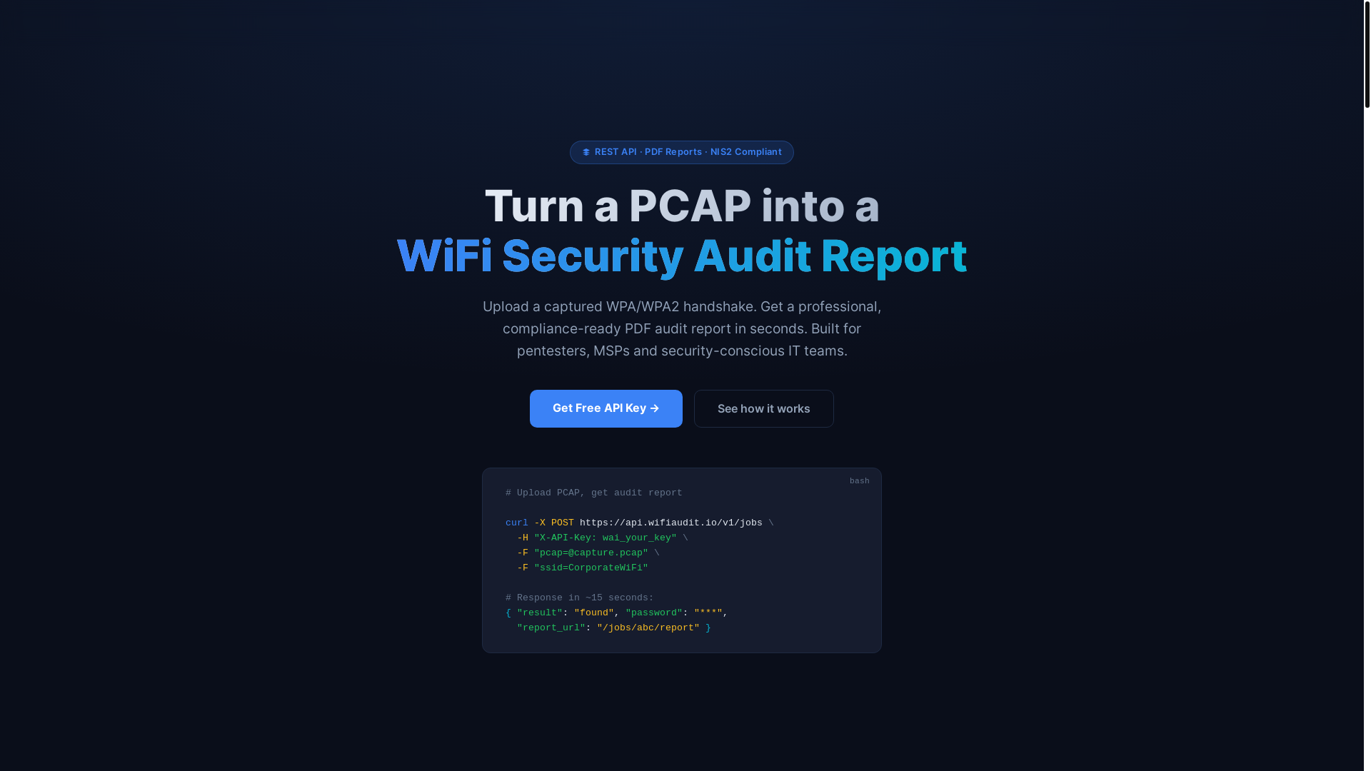 website screenshot of https://wifiaudit.pages.dev/