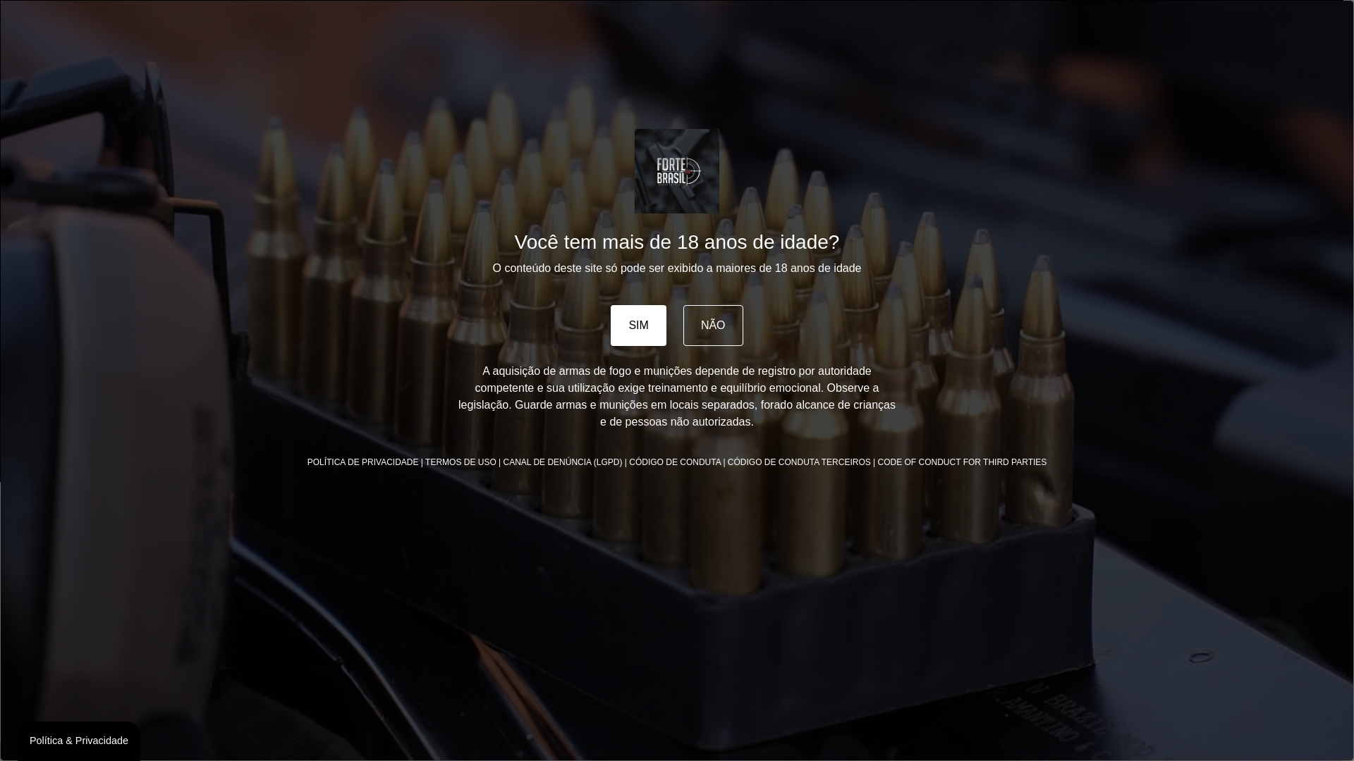 website screenshot of https://fortebrasilarmas.com.br/