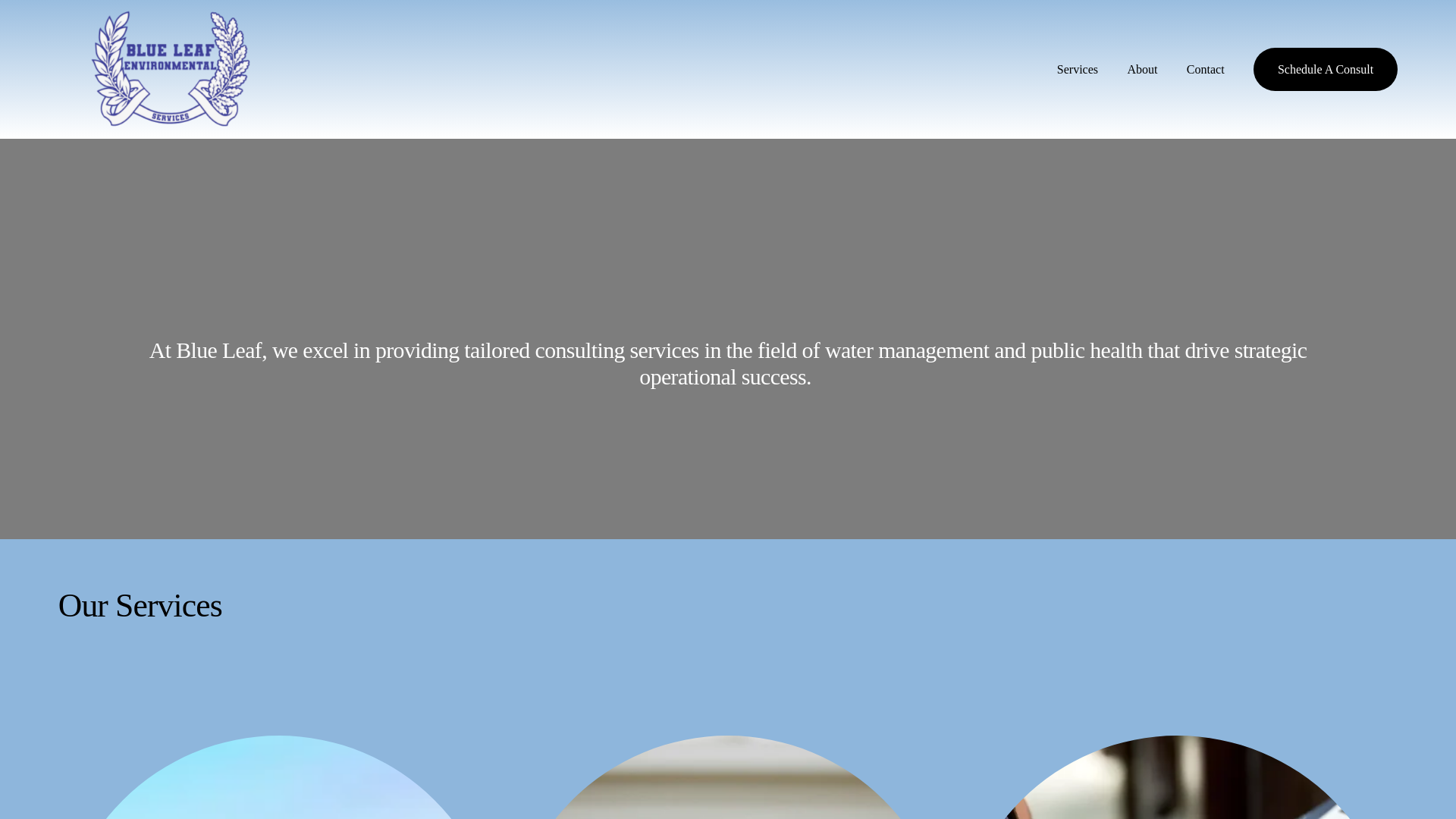 website screenshot of https://blueleafenvironmental.com/