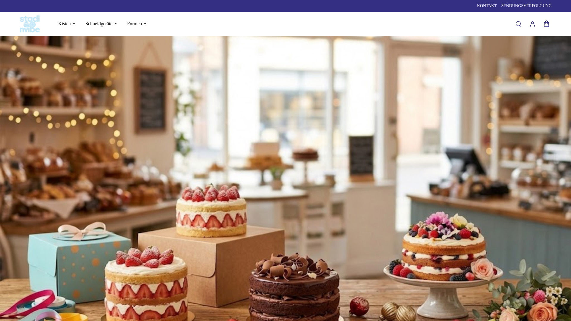 website screenshot of https://stadionvibe.com