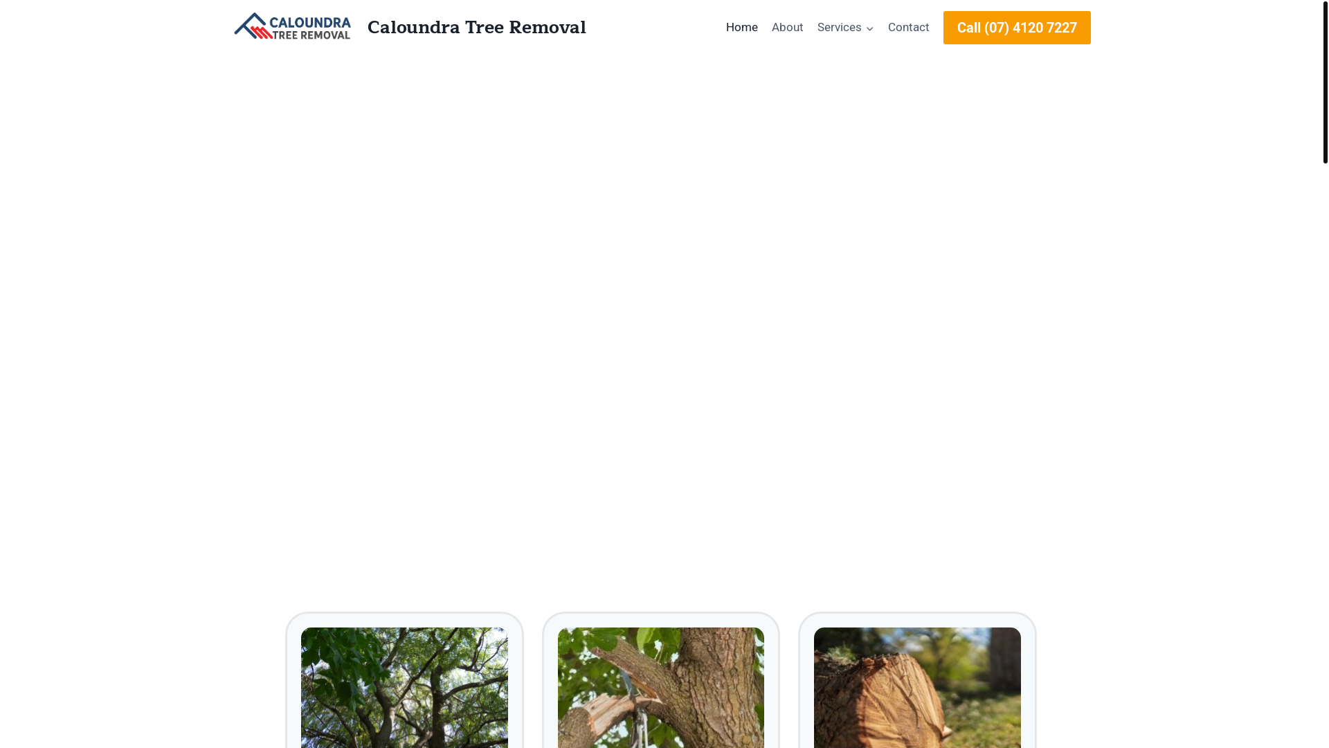 website screenshot of https://treeremovalcaloundra.com.au/