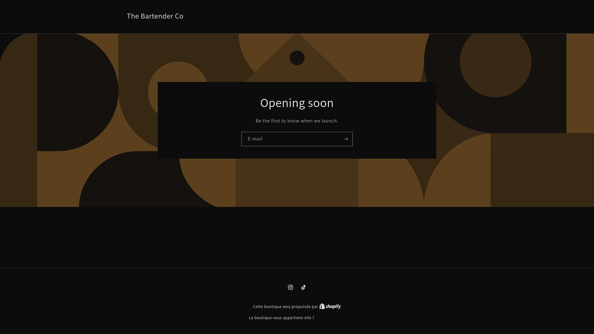 website screenshot of https://thebartenderco.fr/