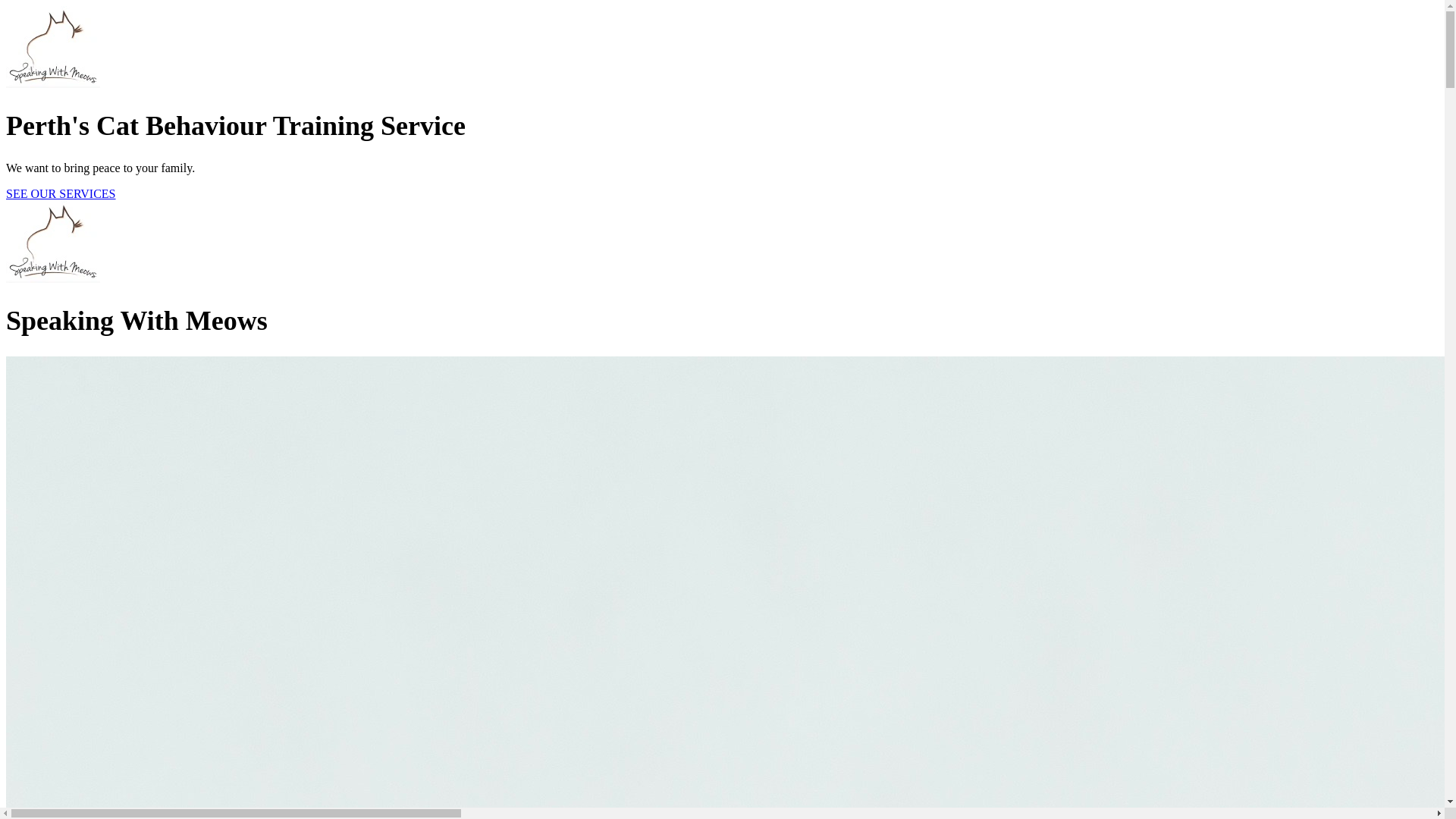 website screenshot of https://speakingwithmeows.online/