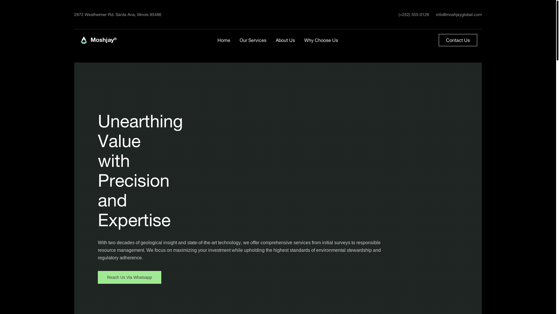 website screenshot of https://moshjayglobalservices.com/