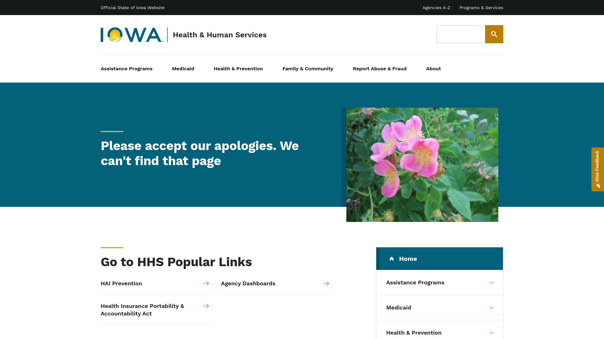 website screenshot of https://hhs.iowa.gov/brsss