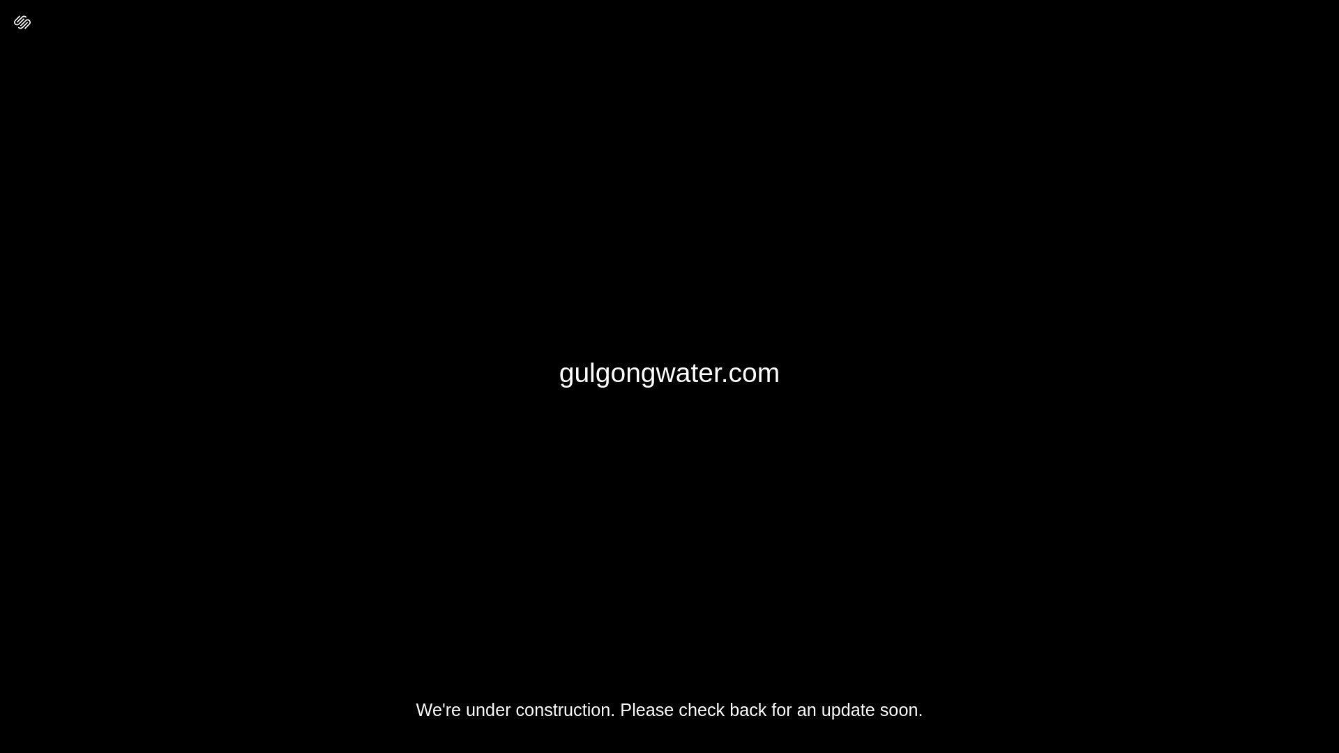 website screenshot of https://gulgongwater.com/