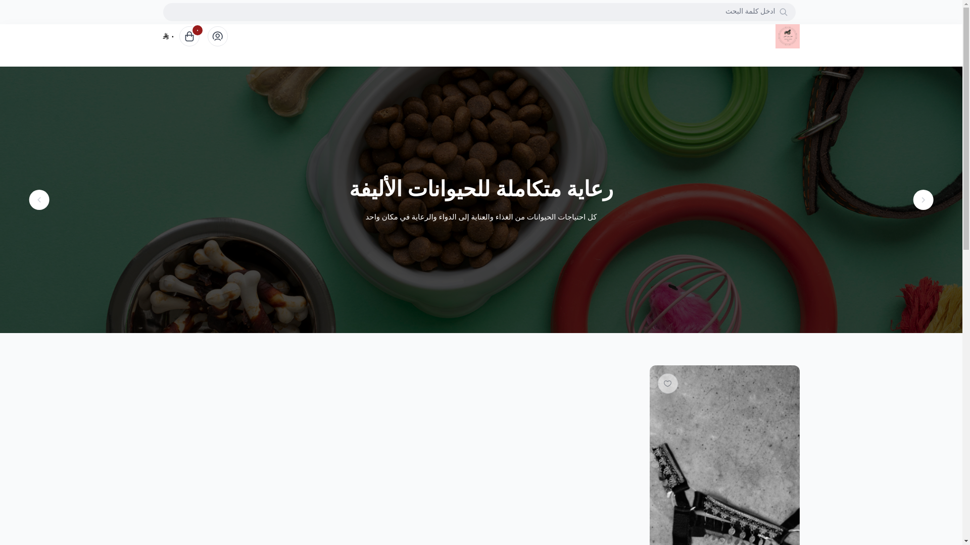 website screenshot of https://rawnaq-alkheil.com/