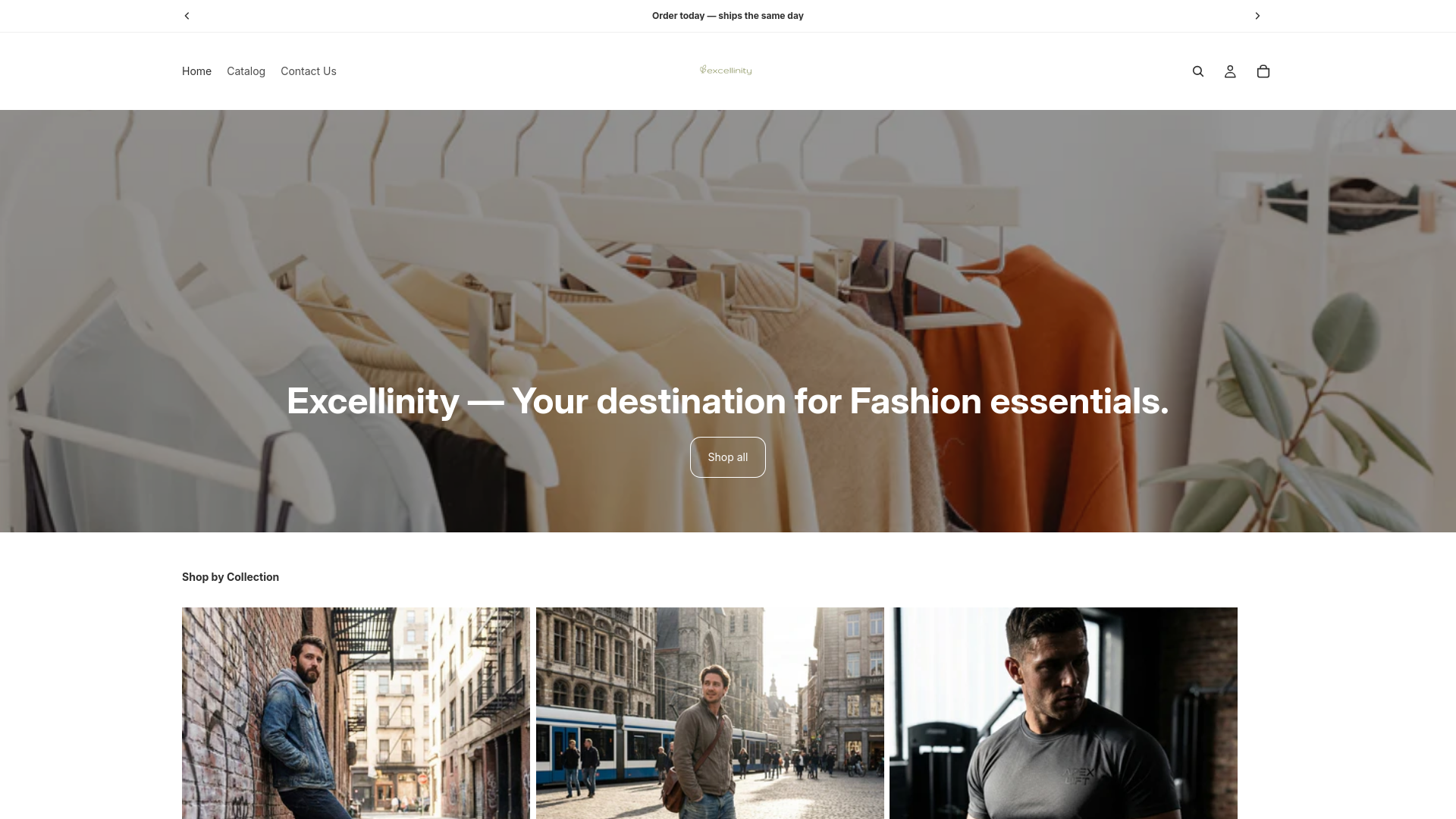 website screenshot of https://excellinity.com/