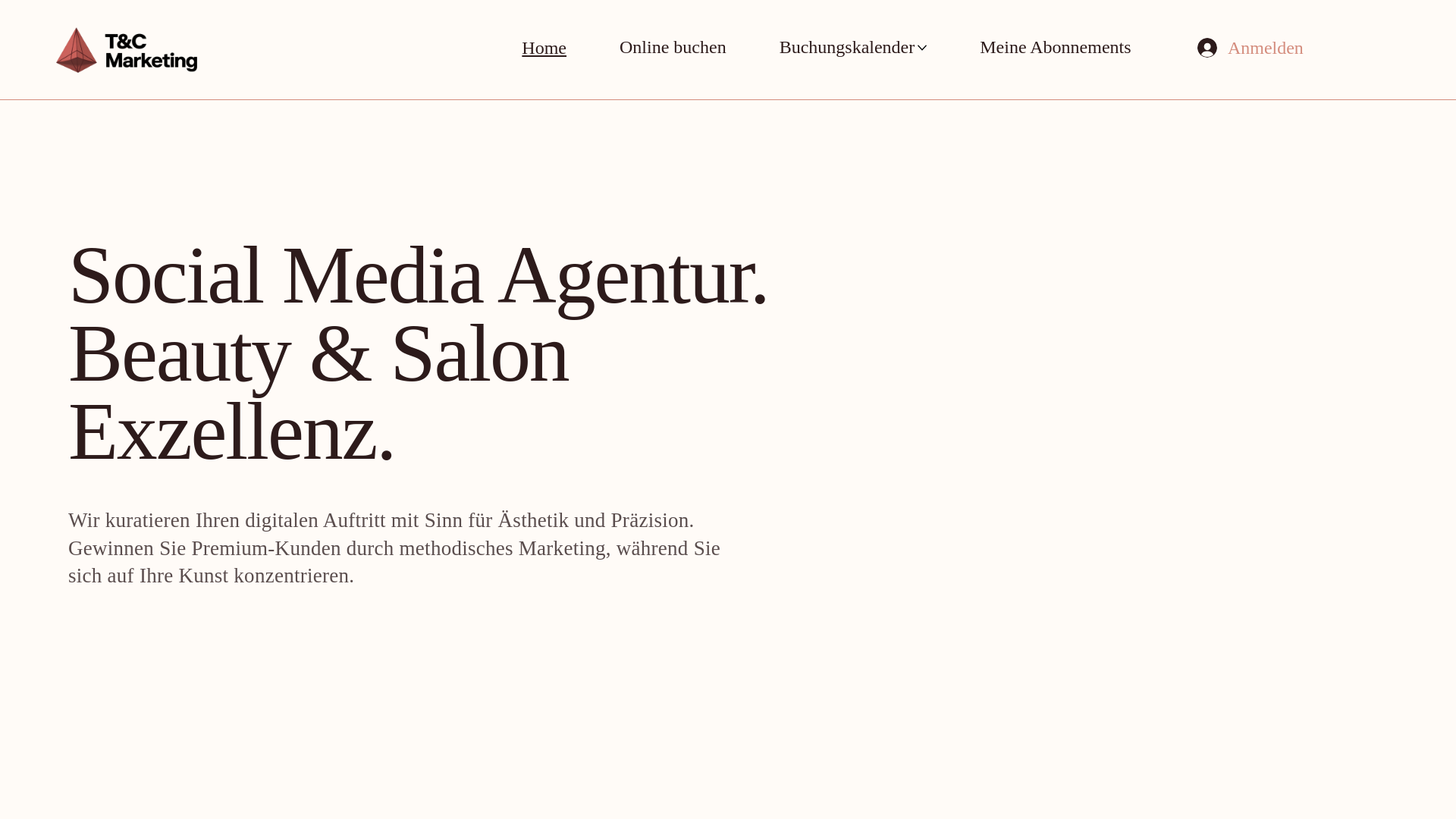 website screenshot of https://tandcmarketing.de