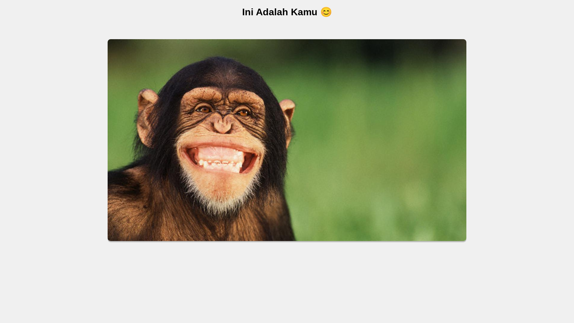 website screenshot of https://the-numbers1-amp-bulletin-natgeo-kaznpu.pages.dev/