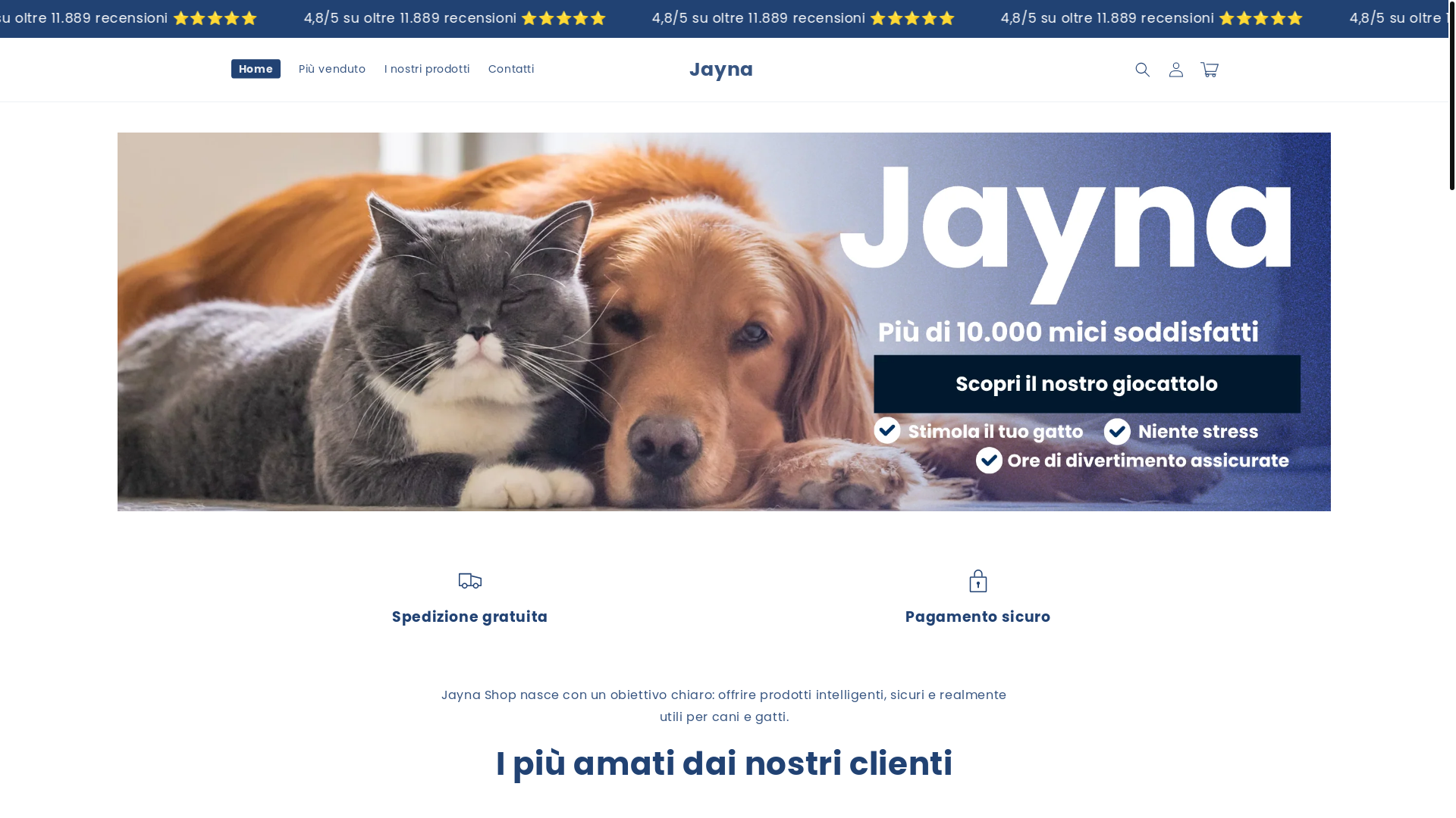 website screenshot of https://jayna-it.com/
