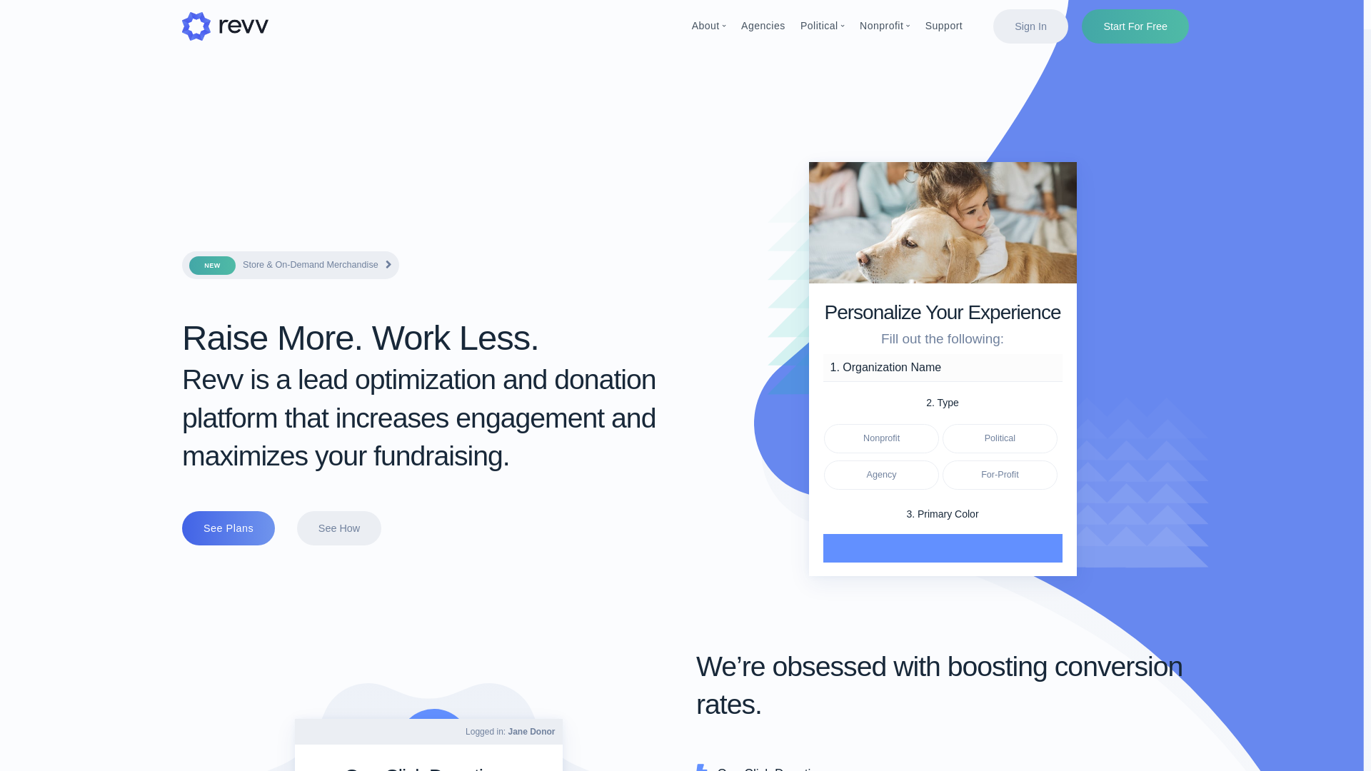 website screenshot of https://revvfundraisingdata.com/