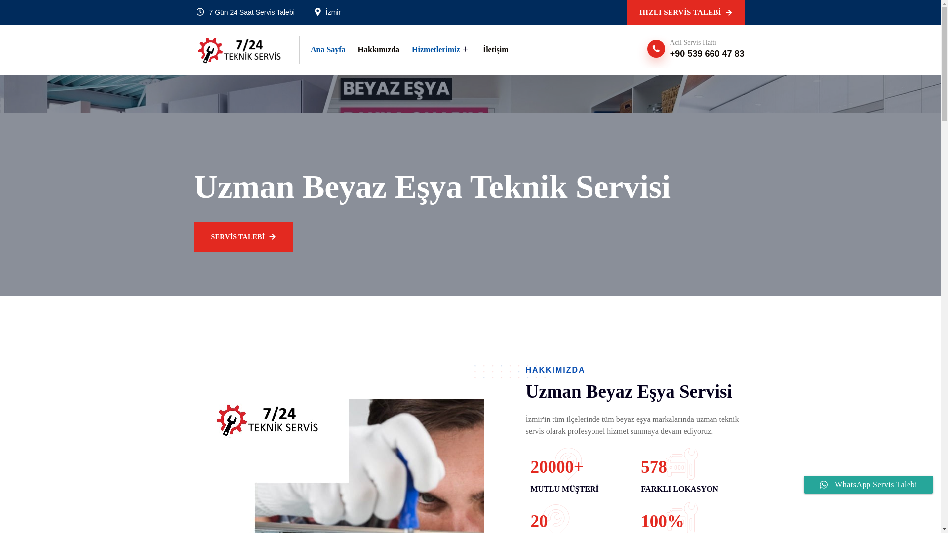 website screenshot of https://izmirserviskapinda.com/