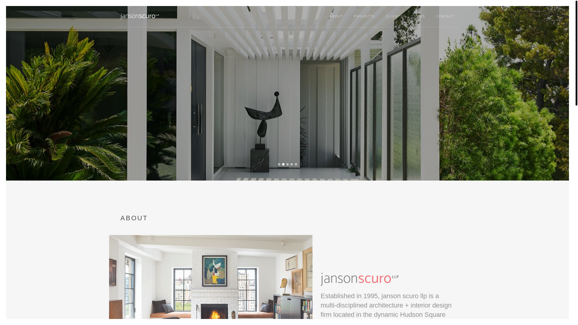 website screenshot of https://jansonscuro.org/