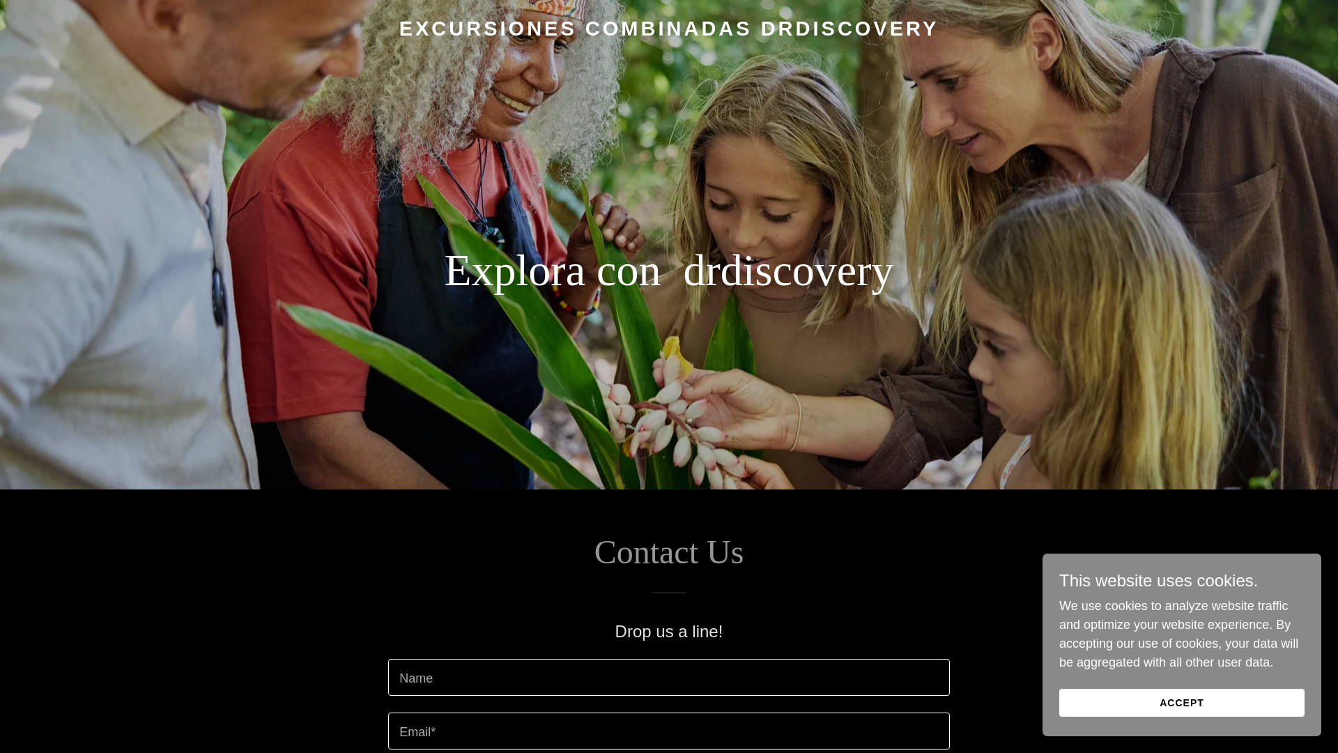 website screenshot of https://drdiscoverycombotours.com/