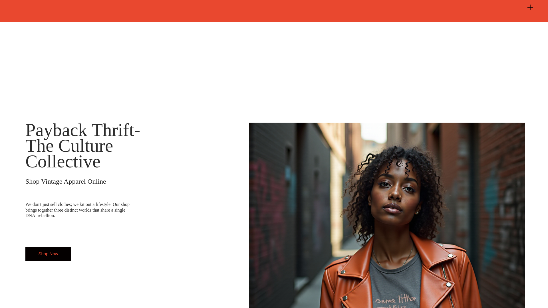 website screenshot of https://thepaybackthrift.com/