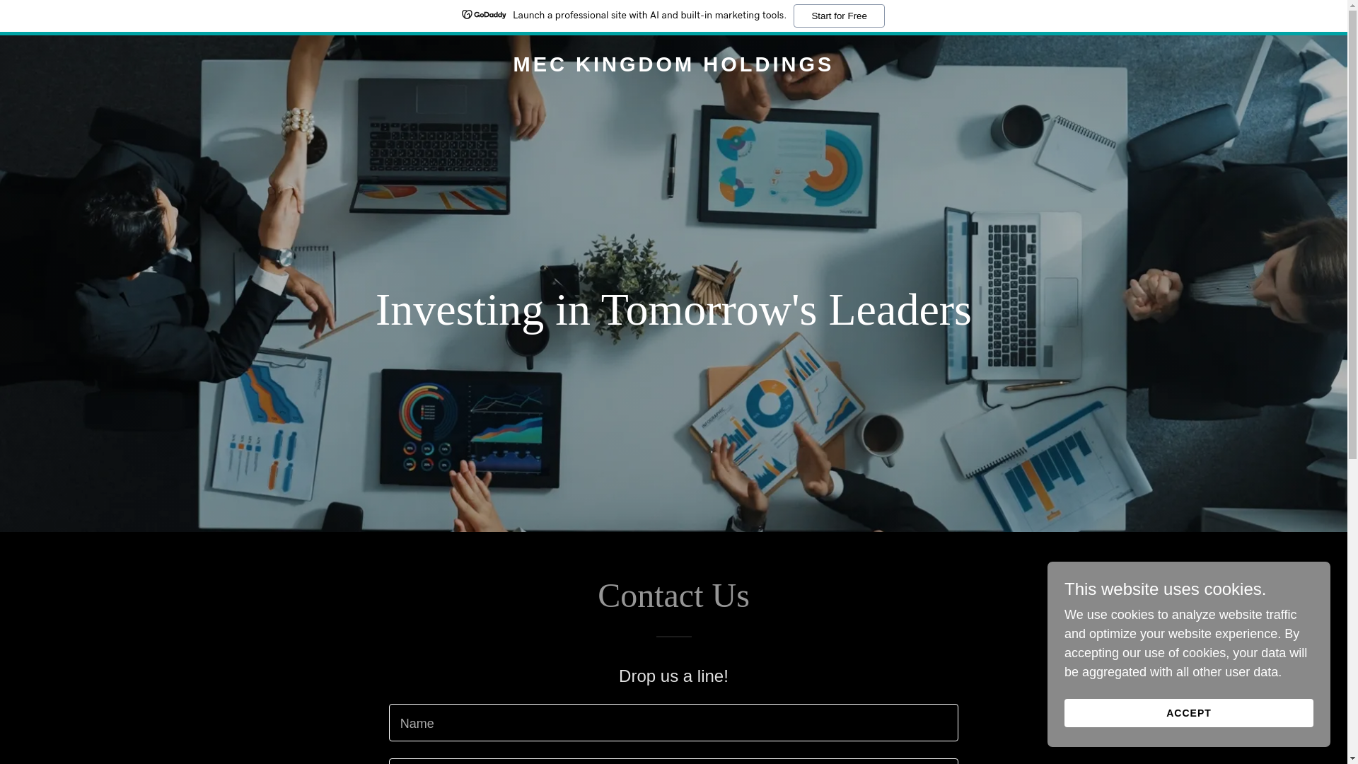 website screenshot of https://meckingdomholdings.com/