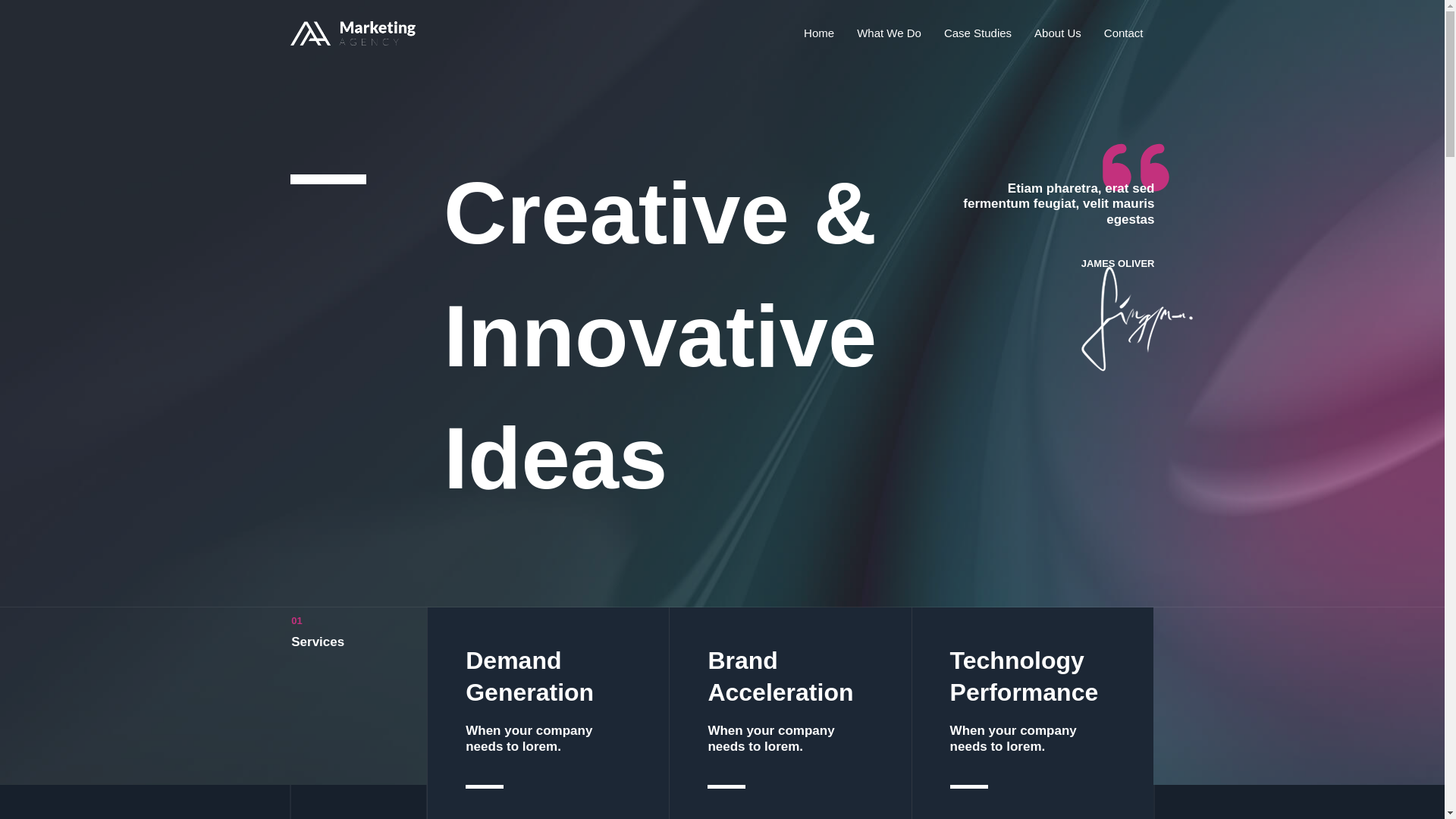 website screenshot of https://nibrasaliilam.com/