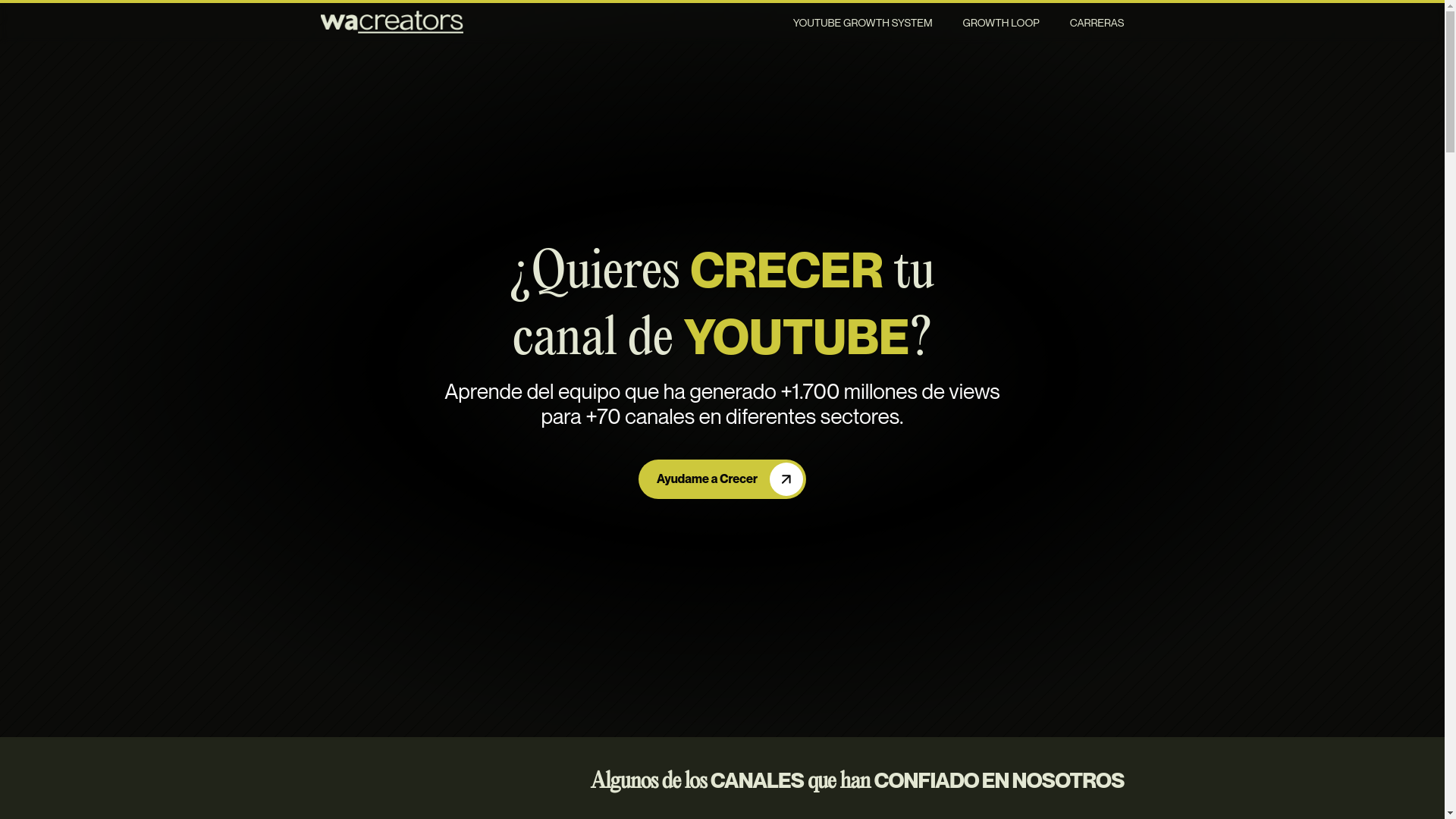 website screenshot of https://teamwavisuals.com/
